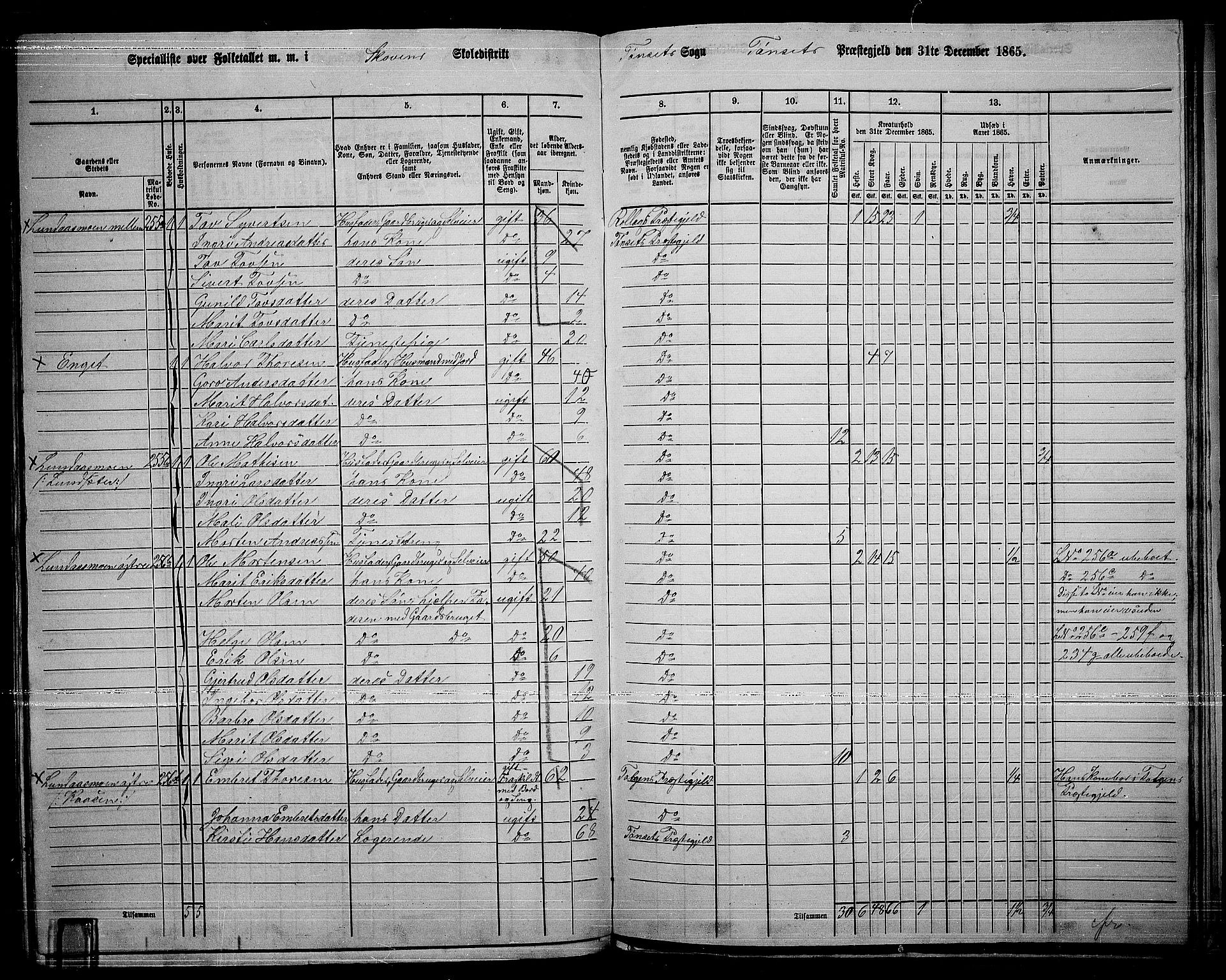 RA, 1865 census for Tynset, 1865, p. 106