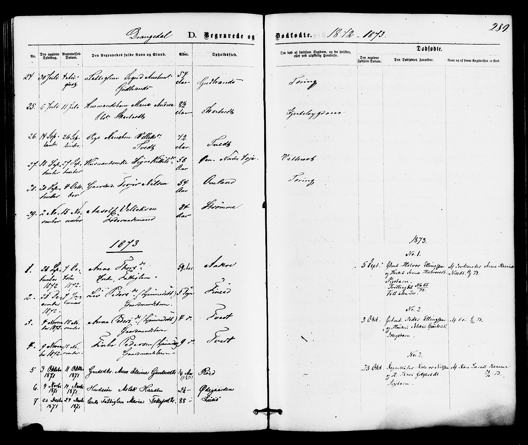 Drangedal kirkebøker, SAKO/A-258/F/Fa/L0009: Parish register (official) no. 9 /1, 1872-1884, p. 289