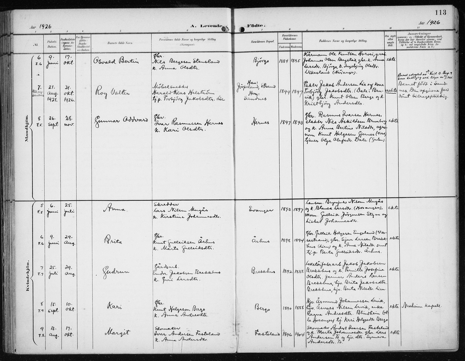 Evanger sokneprestembete, SAB/A-99924: Parish register (official) no. A  3, 1900-1930, p. 113