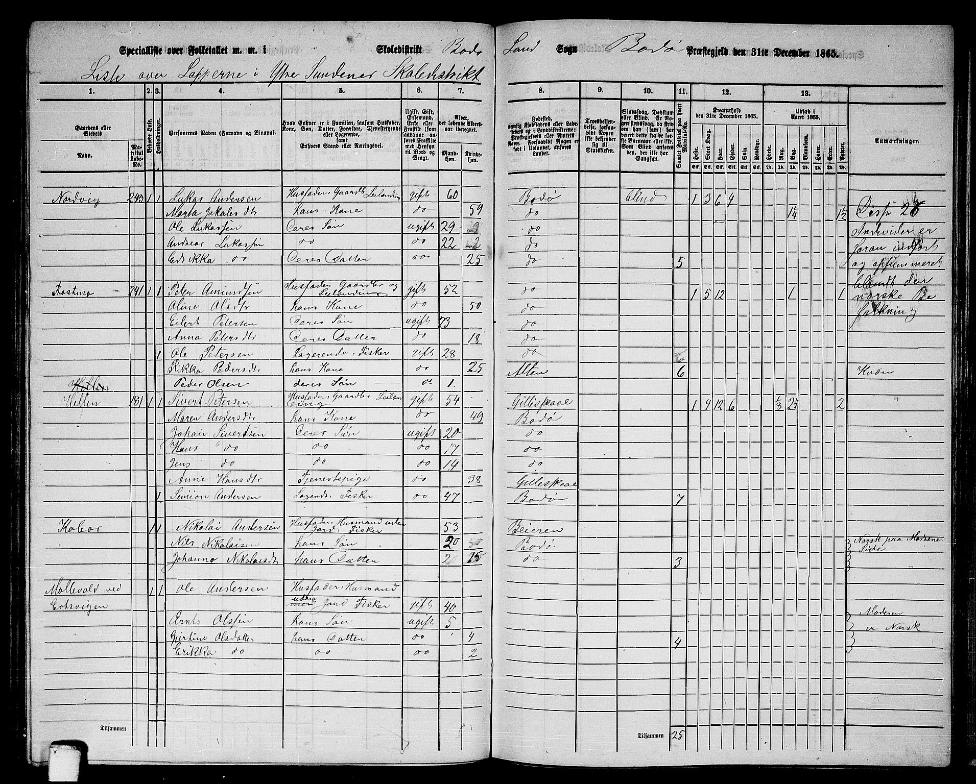 RA, 1865 census for Bodø/Bodø, 1865, p. 108