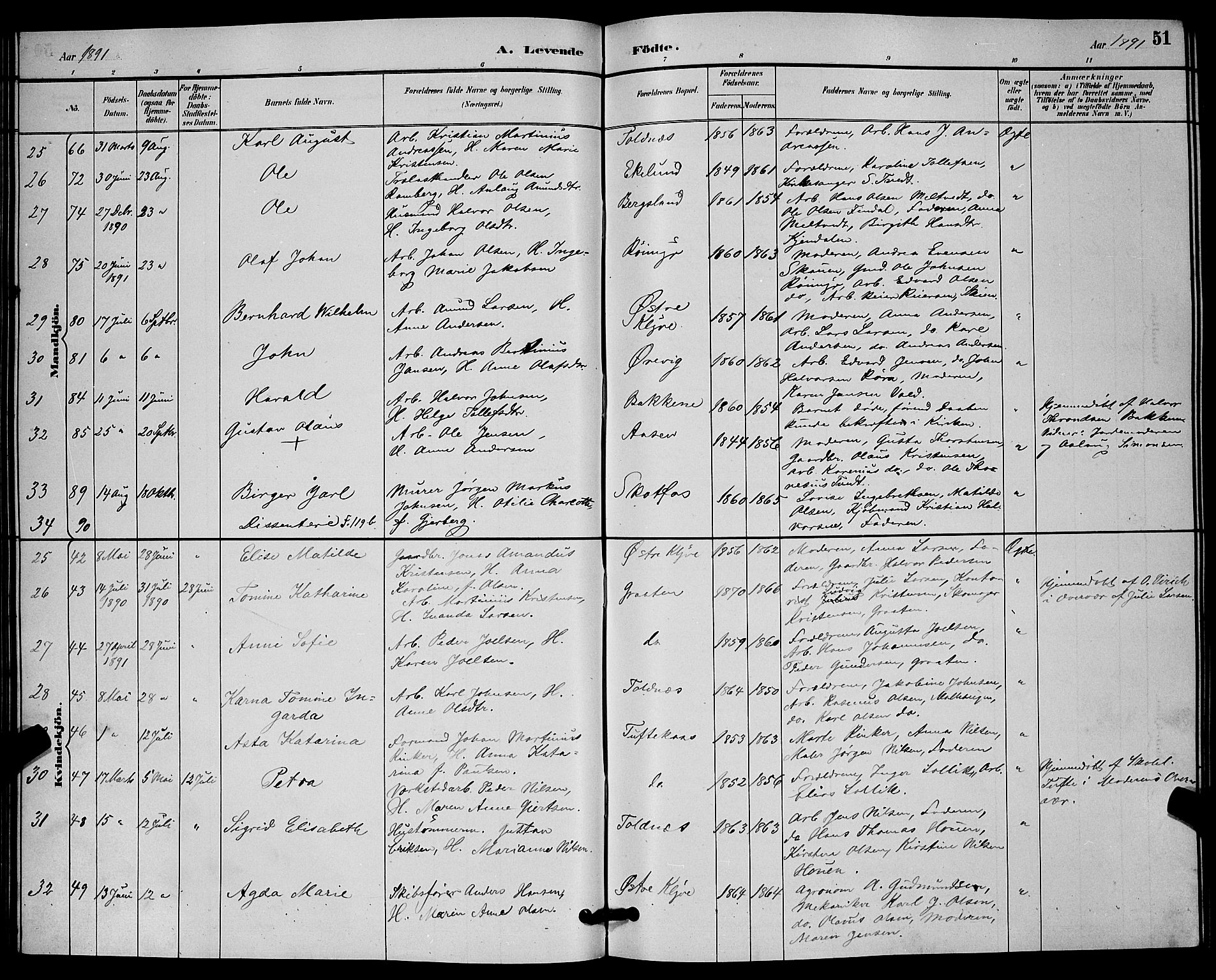 Solum kirkebøker, AV/SAKO-A-306/G/Ga/L0007: Parish register (copy) no. I 7, 1884-1898, p. 51