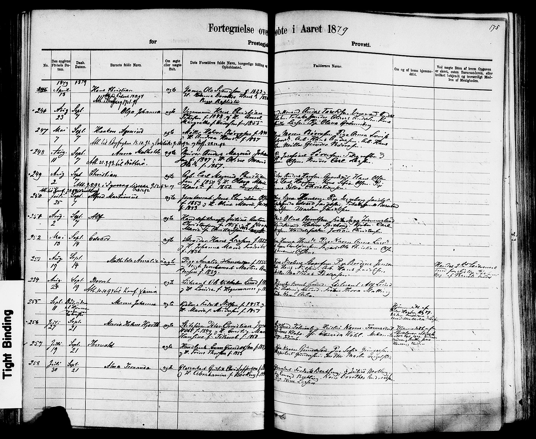 Larvik kirkebøker, AV/SAKO-A-352/F/Fa/L0006: Parish register (official) no. I 6, 1871-1883, p. 175