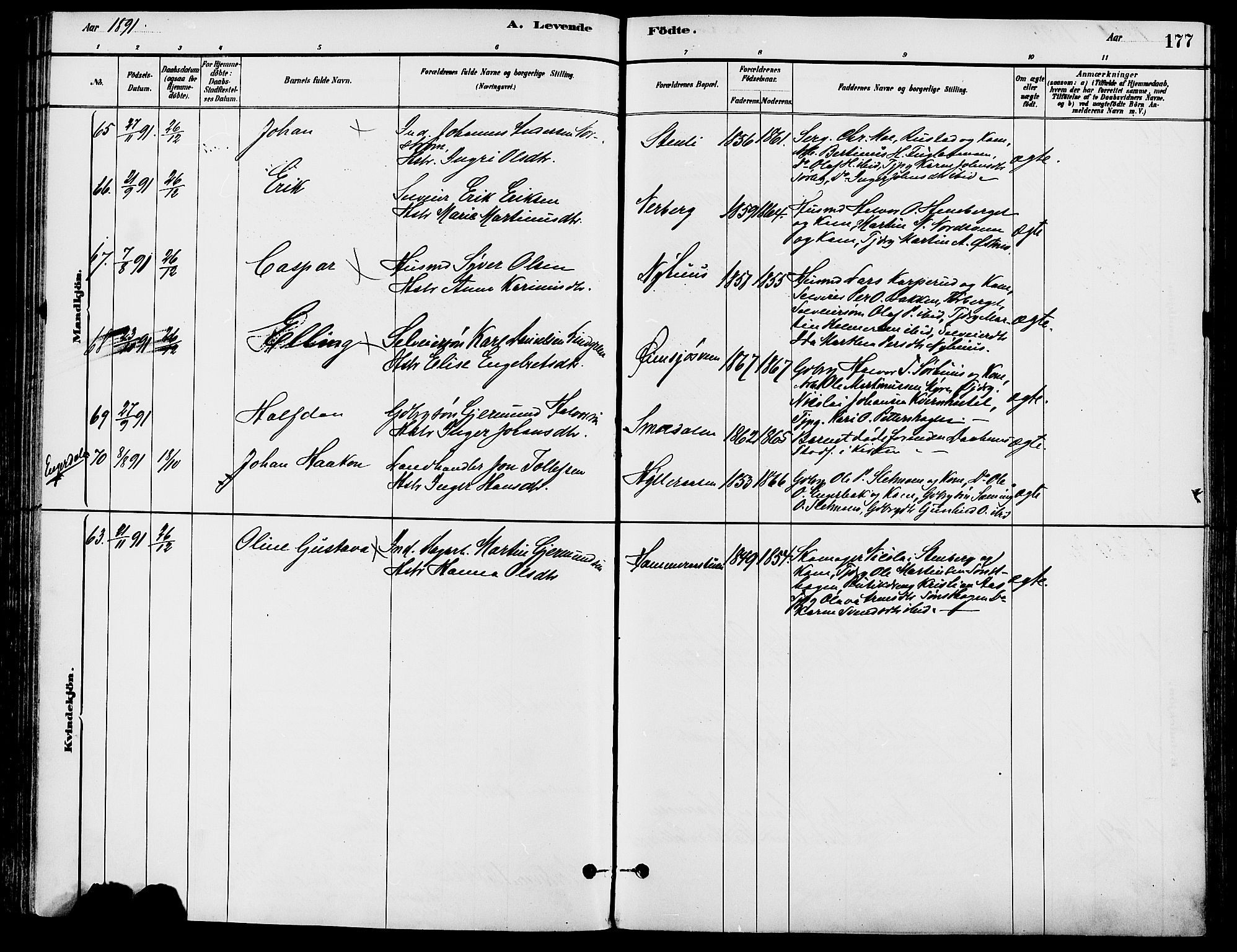 Trysil prestekontor, SAH/PREST-046/H/Ha/Haa/L0008: Parish register (official) no. 8, 1881-1897, p. 177