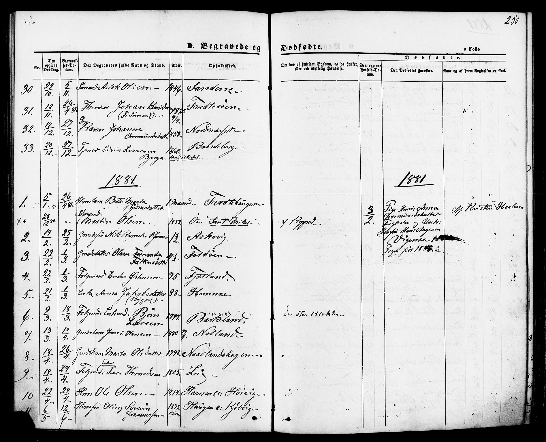 Jelsa sokneprestkontor, AV/SAST-A-101842/01/IV: Parish register (official) no. A 8, 1867-1883, p. 250