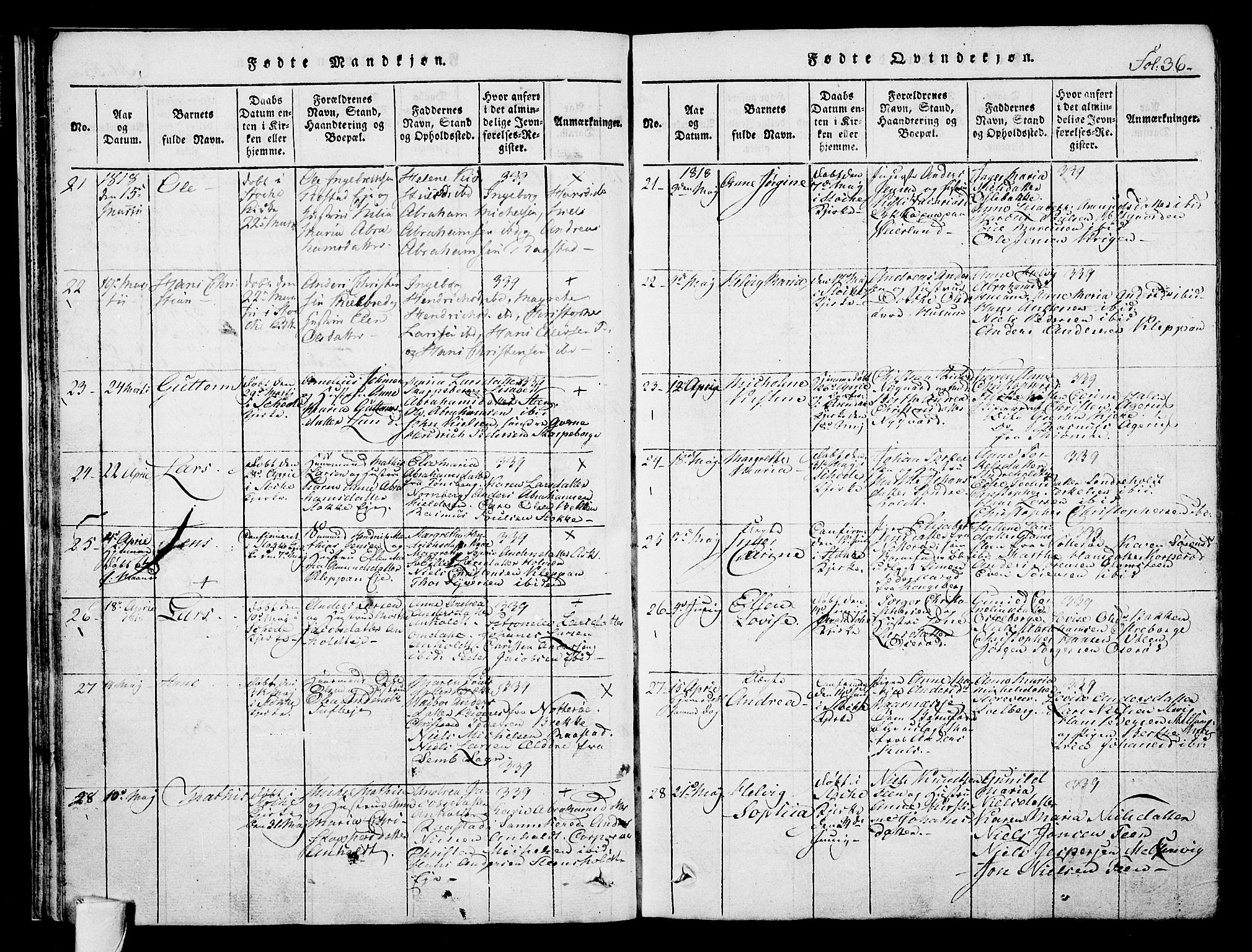 Stokke kirkebøker, AV/SAKO-A-320/F/Fa/L0005: Parish register (official) no. I 5, 1815-1826, p. 36