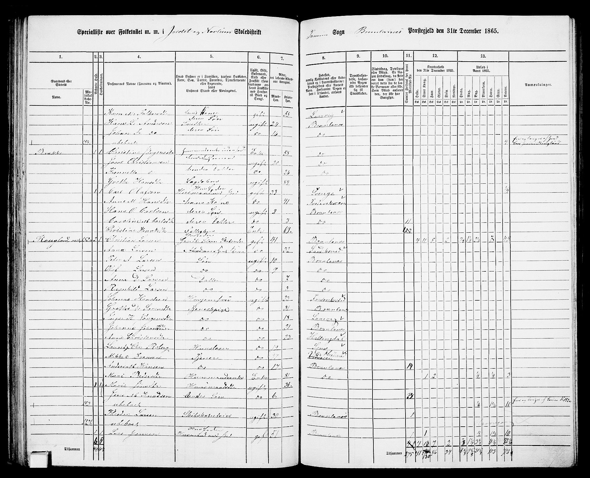 RA, 1865 census for Brunlanes, 1865, p. 77