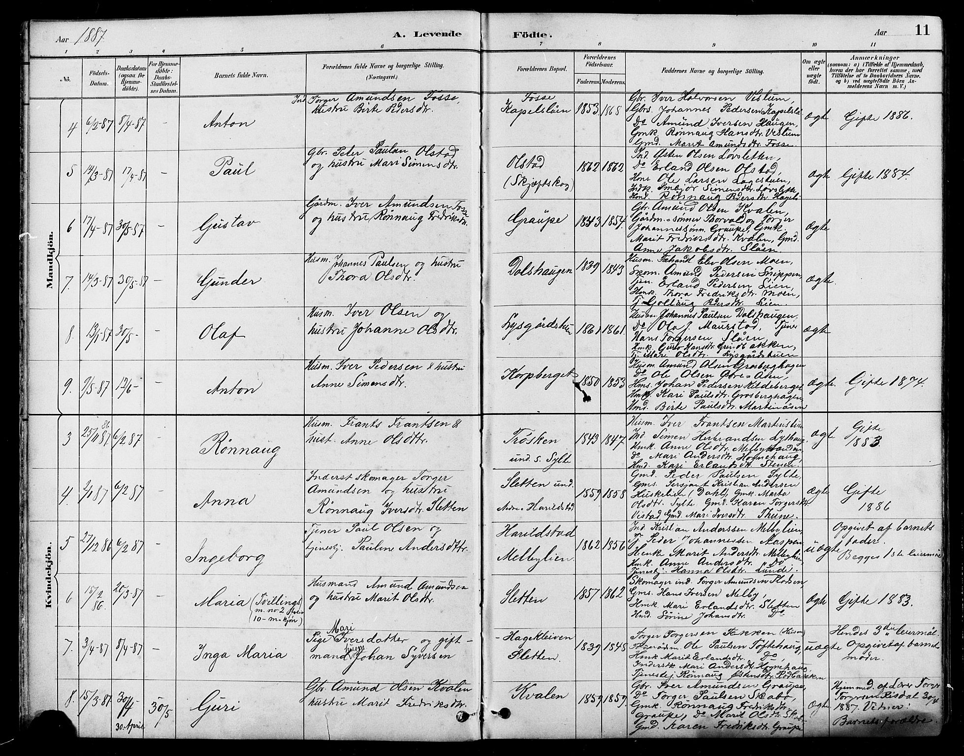 Nord-Fron prestekontor, SAH/PREST-080/H/Ha/Hab/L0005: Parish register (copy) no. 5, 1884-1914, p. 11