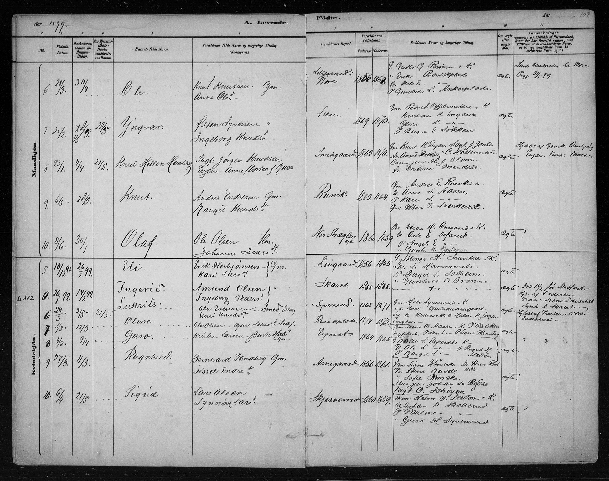 Nes kirkebøker, AV/SAKO-A-236/F/Fa/L0011: Parish register (official) no. 11, 1881-1912, p. 107