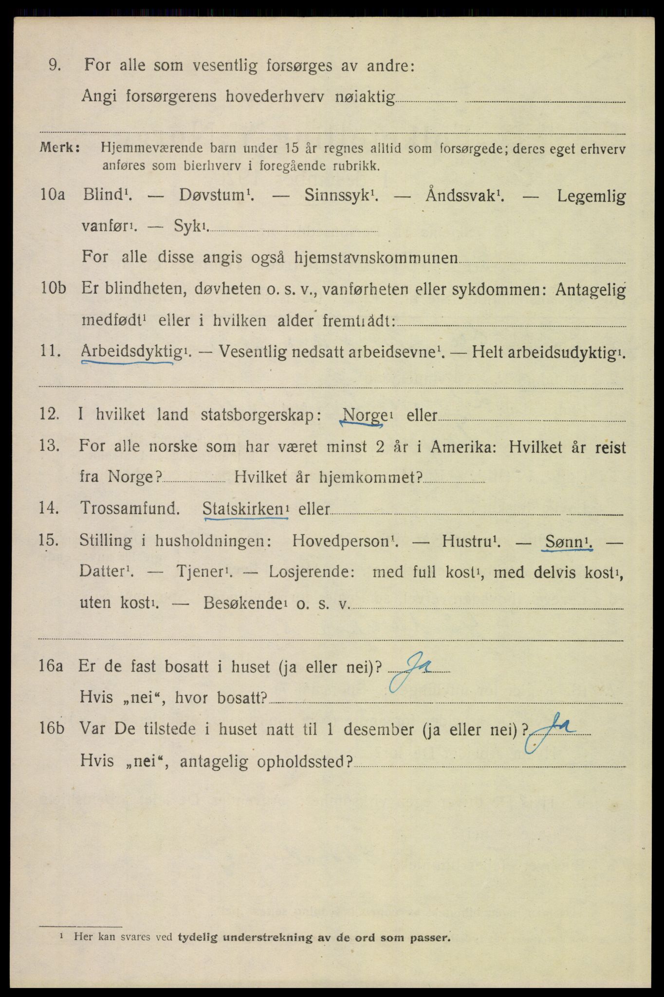 SAH, 1920 census for Elverum, 1920, p. 21215