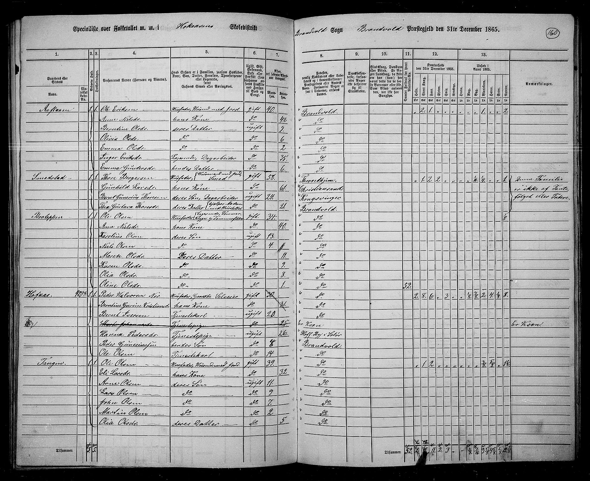 RA, 1865 census for Brandval, 1865, p. 137