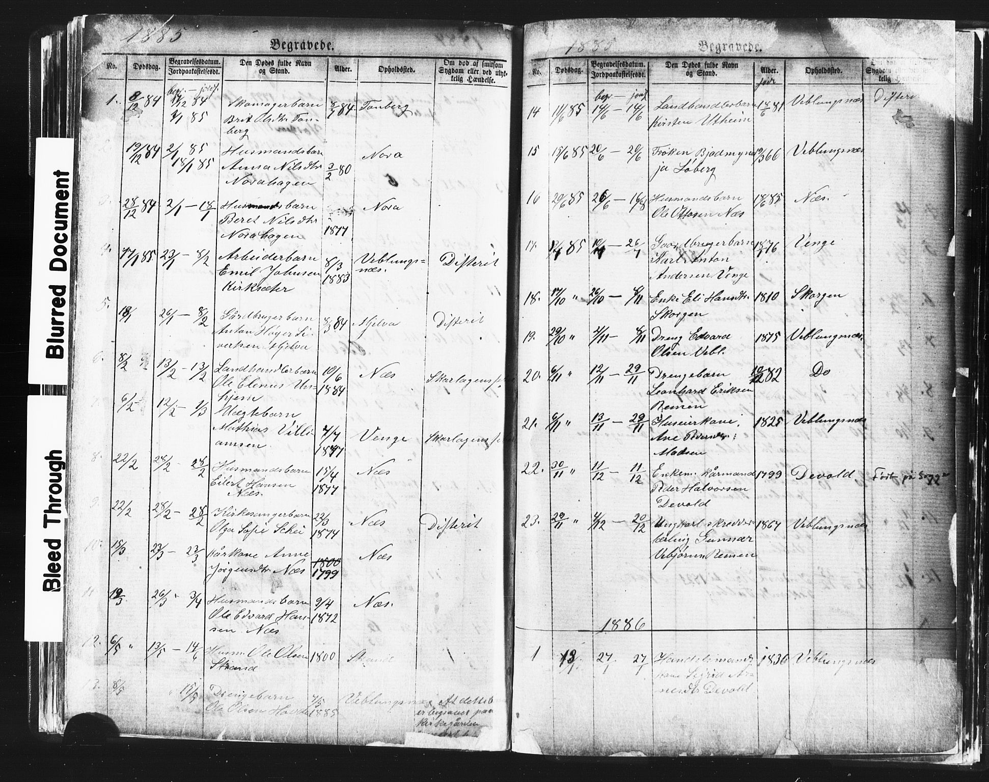 Ministerialprotokoller, klokkerbøker og fødselsregistre - Møre og Romsdal, AV/SAT-A-1454/544/L0580: Parish register (copy) no. 544C02, 1867-1909, p. 252