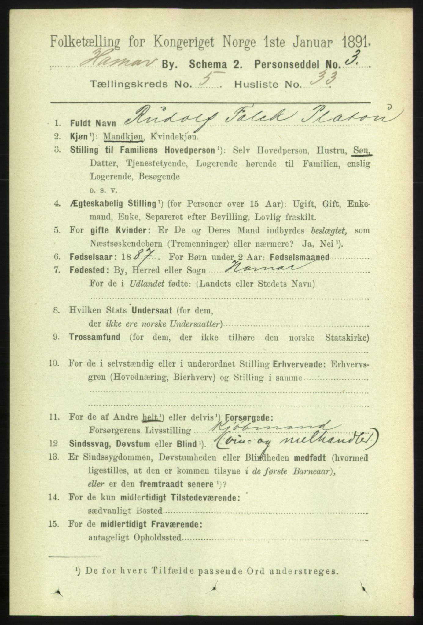 RA, 1891 census for 0401 Hamar, 1891, p. 4197