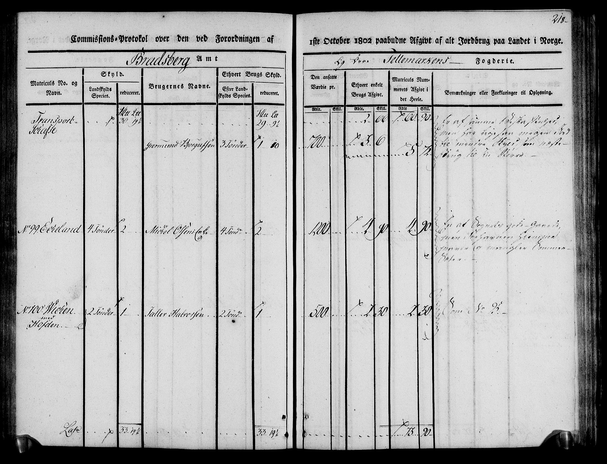 Rentekammeret inntil 1814, Realistisk ordnet avdeling, AV/RA-EA-4070/N/Ne/Nea/L0075: Øvre Telemarken fogderi. Kommisjonsprotokoll for fogderiets vestre del - Kviteseid, Vinje, Moland [):Fyresdal] og Lårdal prestegjeld., 1803, p. 220