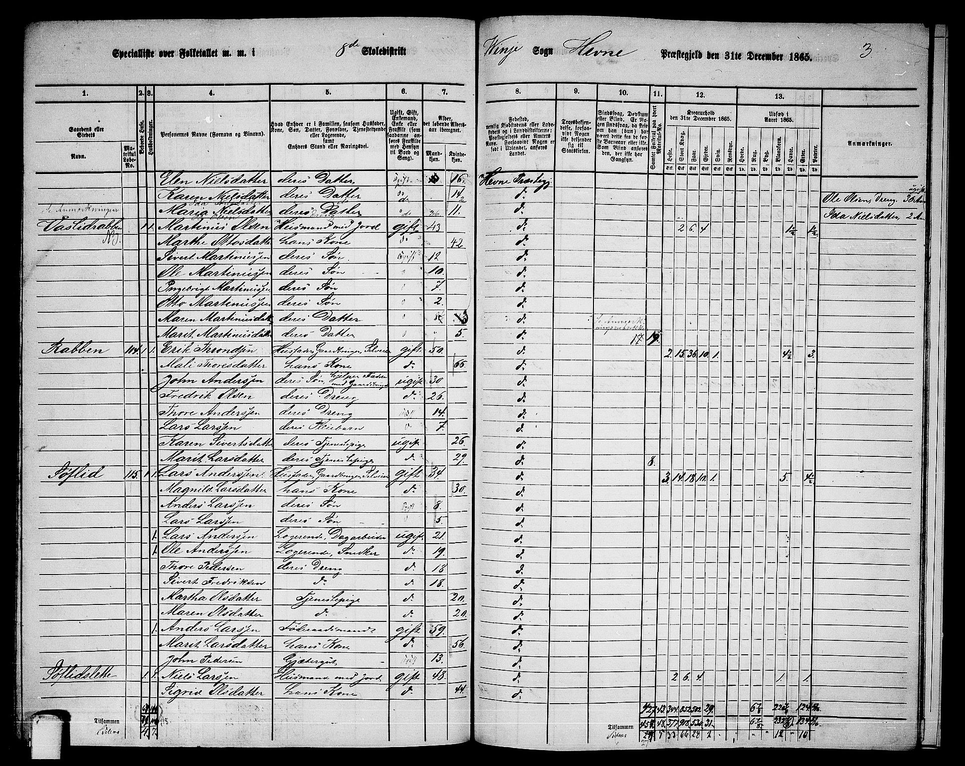 RA, 1865 census for Hemne, 1865, p. 183