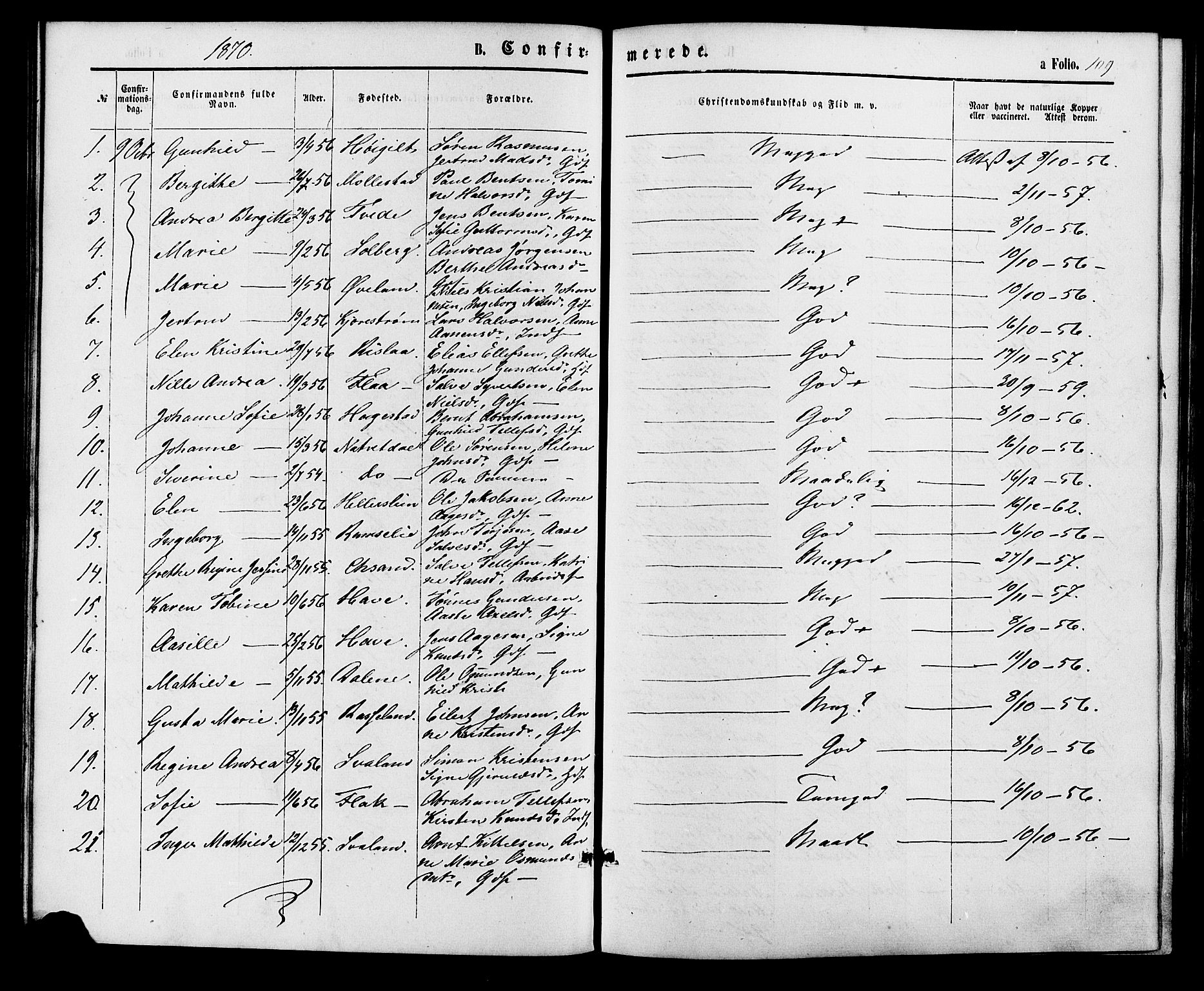 Birkenes sokneprestkontor, SAK/1111-0004/F/Fa/L0004: Parish register (official) no. A 4, 1867-1886, p. 109