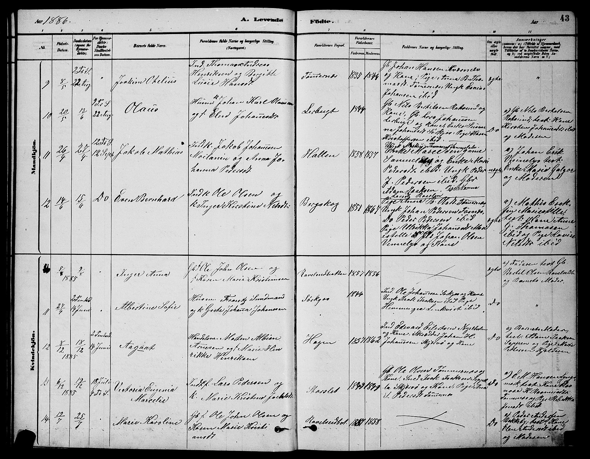 Skjervøy sokneprestkontor, AV/SATØ-S-1300/H/Ha/Hab/L0020klokker: Parish register (copy) no. 20, 1878-1892, p. 43