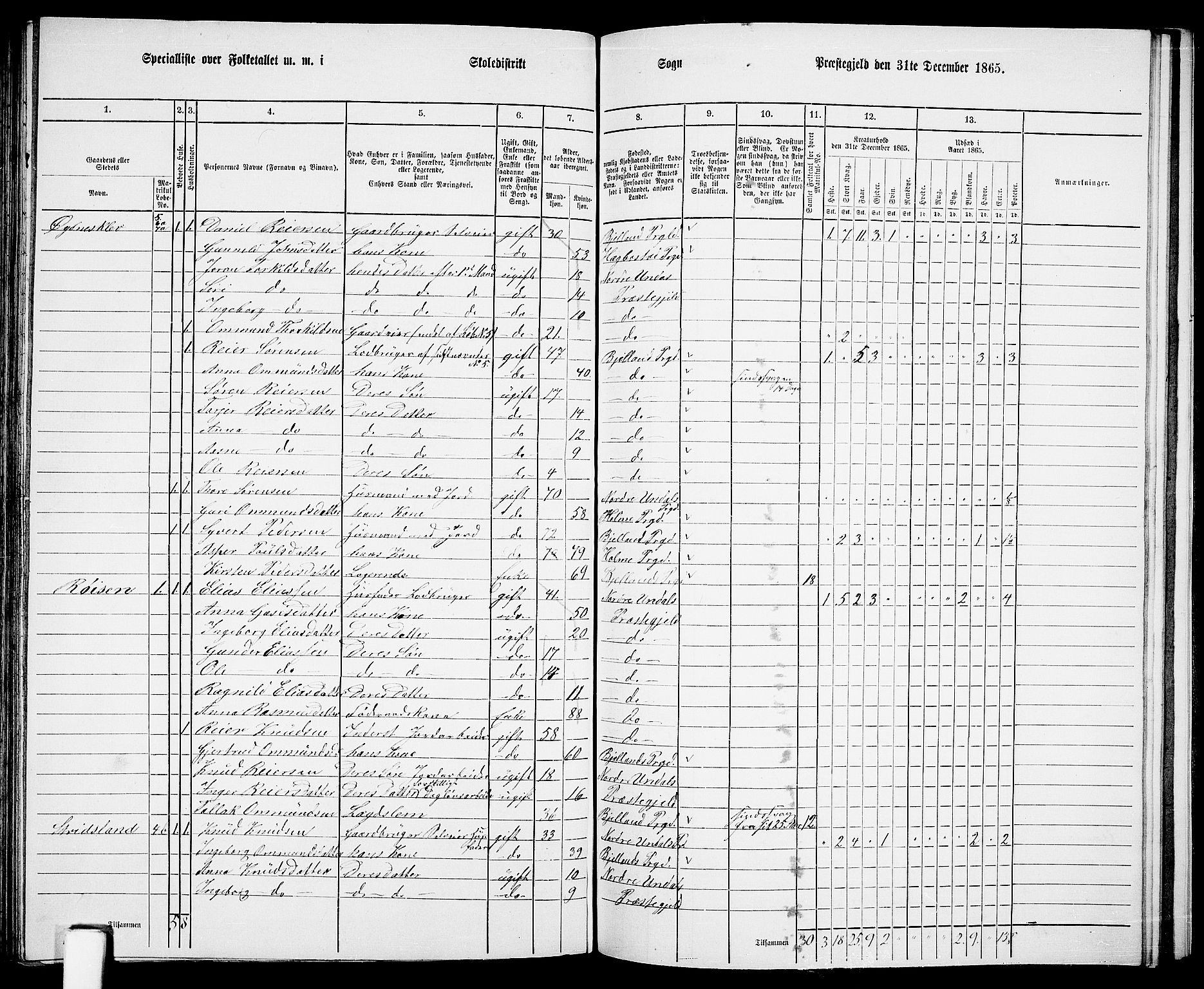 RA, 1865 census for Nord-Audnedal, 1865, p. 91