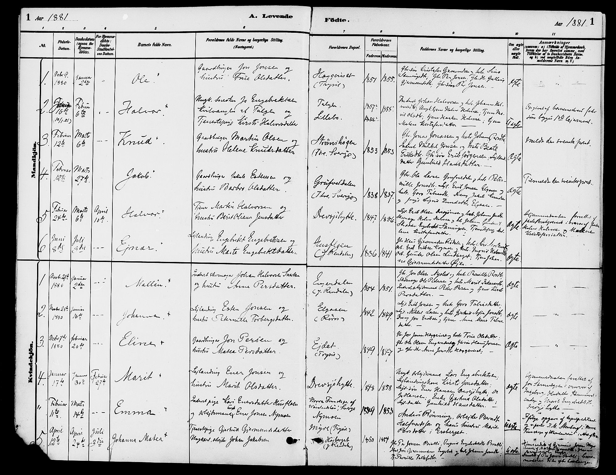 Engerdal prestekontor, AV/SAH-PREST-048/H/Ha/Haa/L0001: Parish register (official) no. 1, 1881-1898, p. 1