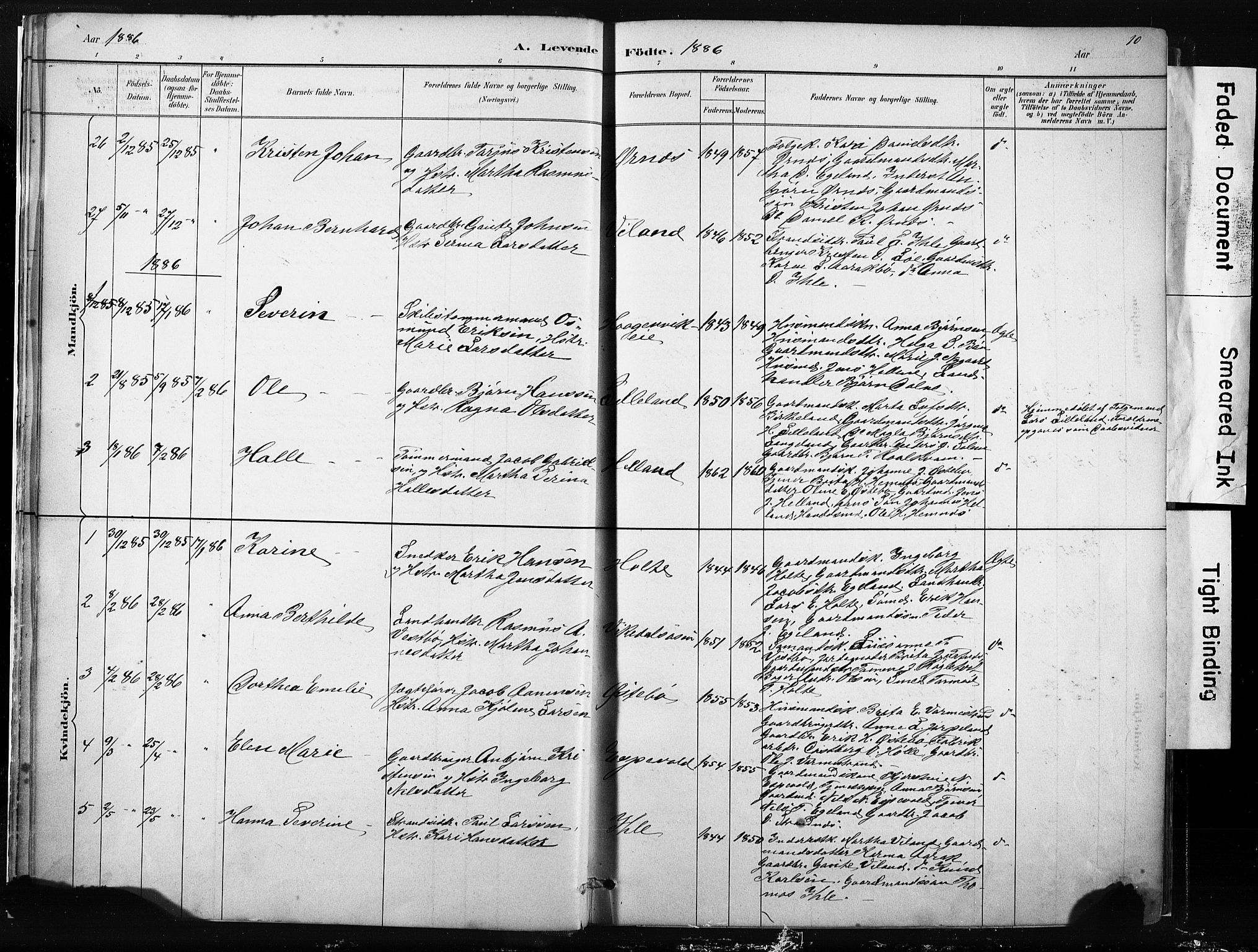 Vikedal sokneprestkontor, AV/SAST-A-101840/01/IV: Parish register (official) no. A 10, 1884-1907, p. 10