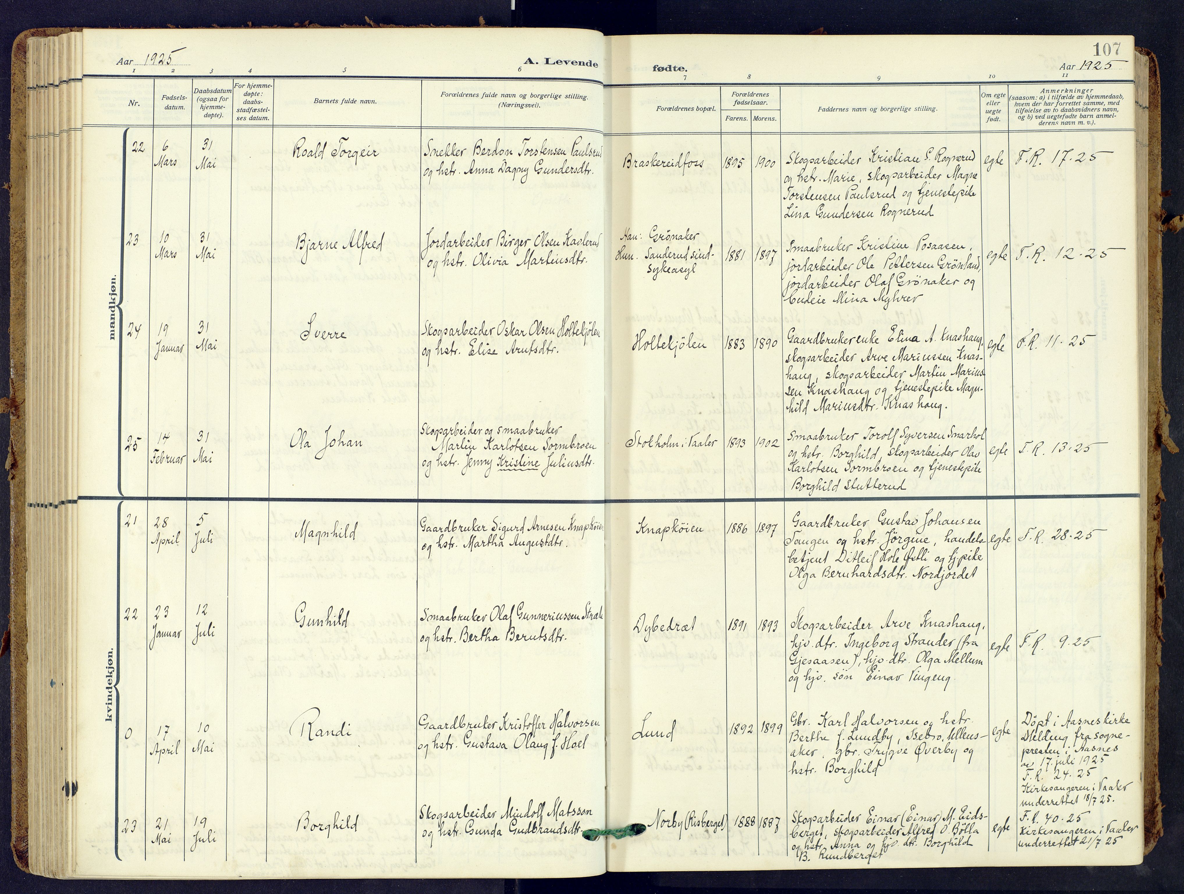 Våler prestekontor, Hedmark, AV/SAH-PREST-040/H/Ha/Haa/L0009: Parish register (official) no. 9, 1912-1940, p. 107