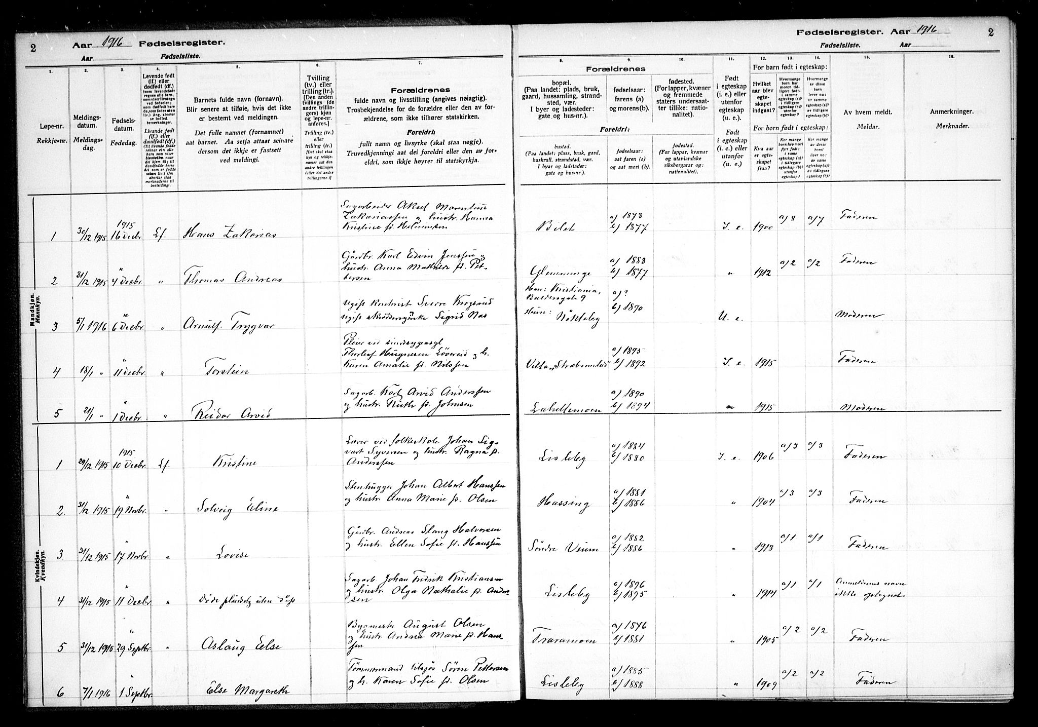 Glemmen prestekontor Kirkebøker, AV/SAO-A-10908/J/Ja/L0001: Birth register no. I 1, 1916-1922, p. 2