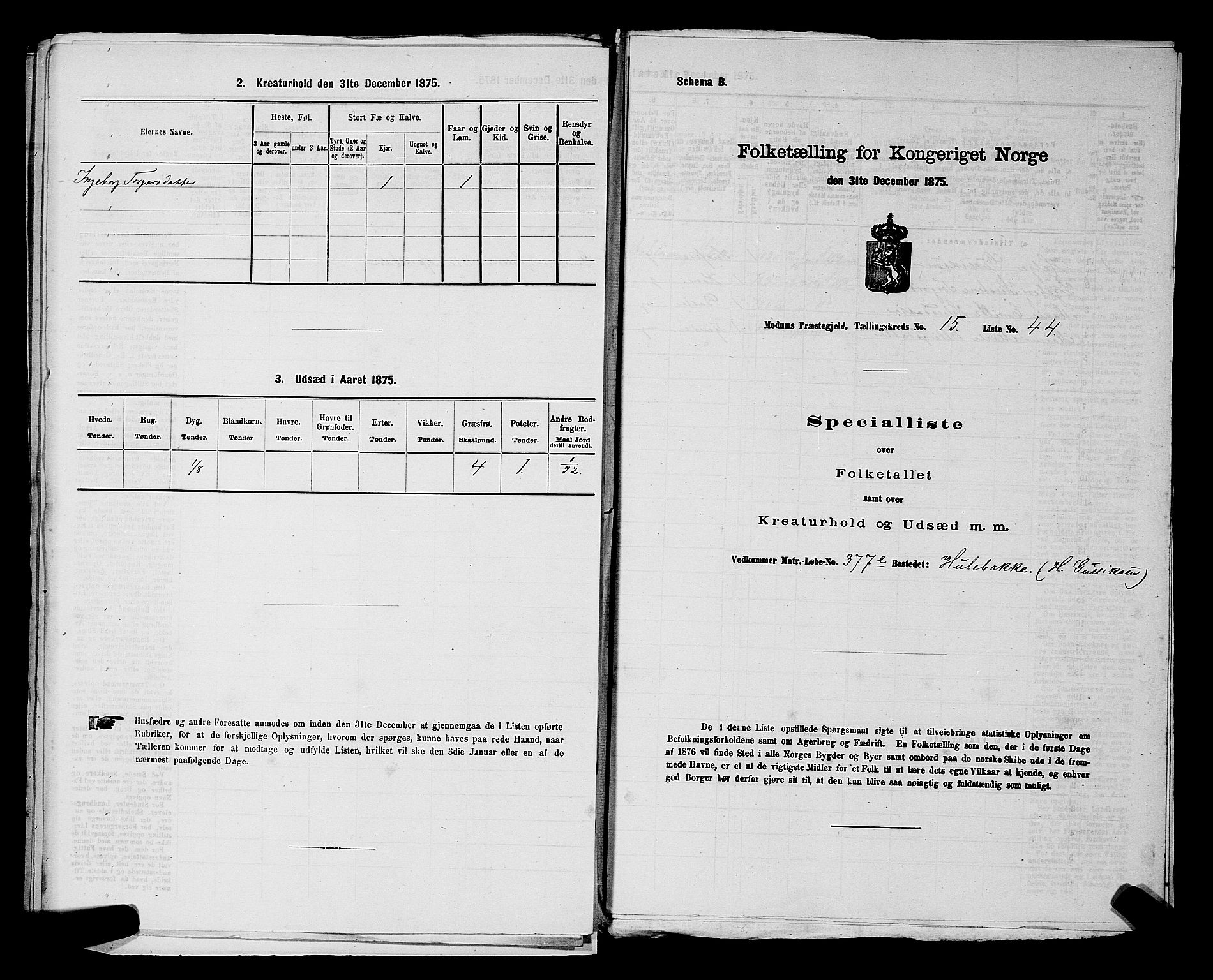 SAKO, 1875 census for 0623P Modum, 1875, p. 2036