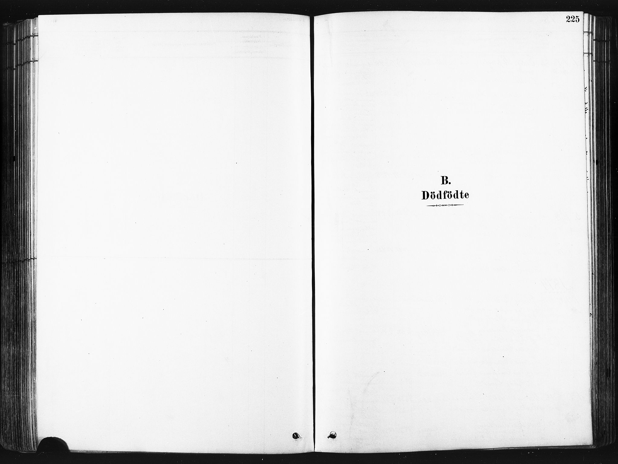 Trondenes sokneprestkontor, SATØ/S-1319/H/Ha/L0014kirke: Parish register (official) no. 14, 1878-1889, p. 225