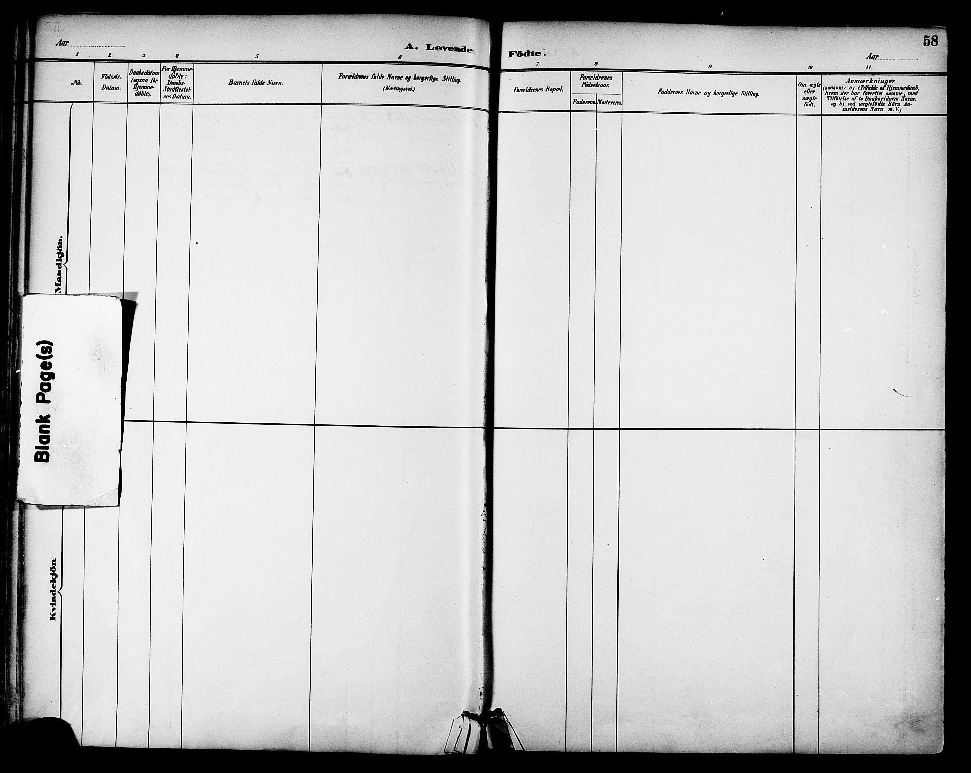 Ministerialprotokoller, klokkerbøker og fødselsregistre - Nordland, AV/SAT-A-1459/814/L0226: Parish register (official) no. 814A07, 1886-1898, p. 58