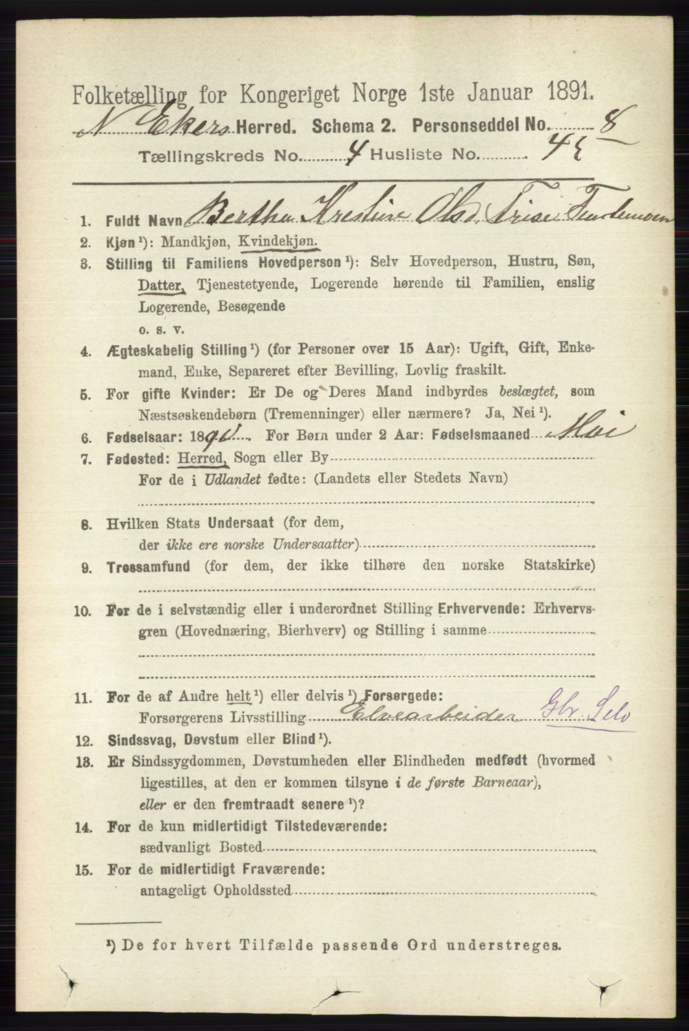 RA, 1891 census for 0625 Nedre Eiker, 1891, p. 2191