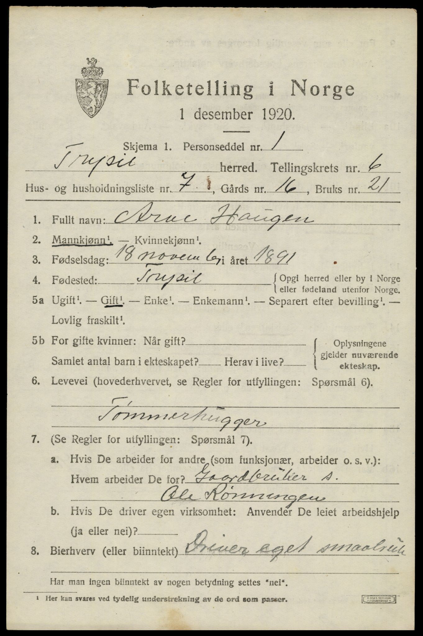 SAH, 1920 census for Trysil, 1920, p. 4601