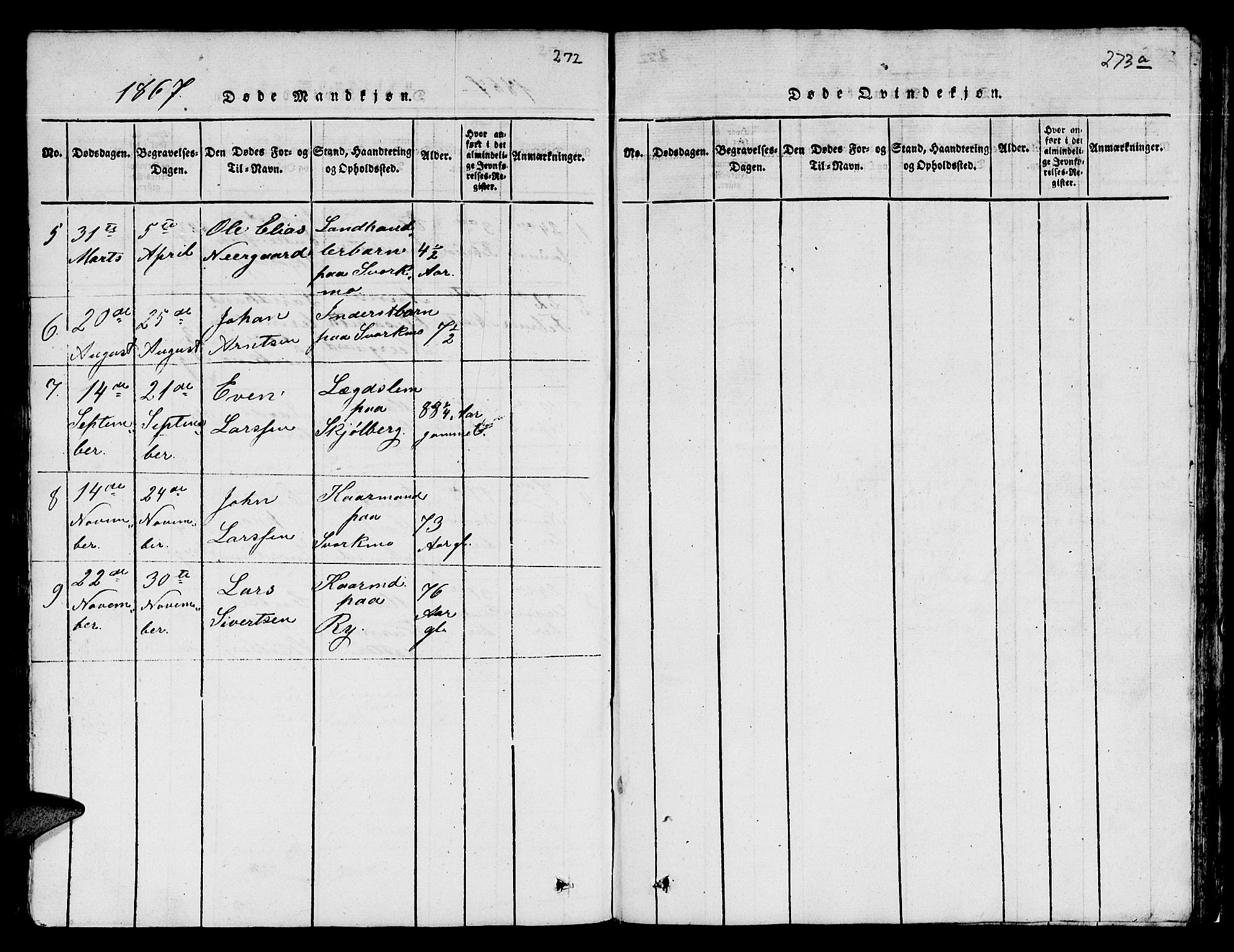 Ministerialprotokoller, klokkerbøker og fødselsregistre - Sør-Trøndelag, SAT/A-1456/671/L0842: Parish register (copy) no. 671C01, 1816-1867, p. 272-273