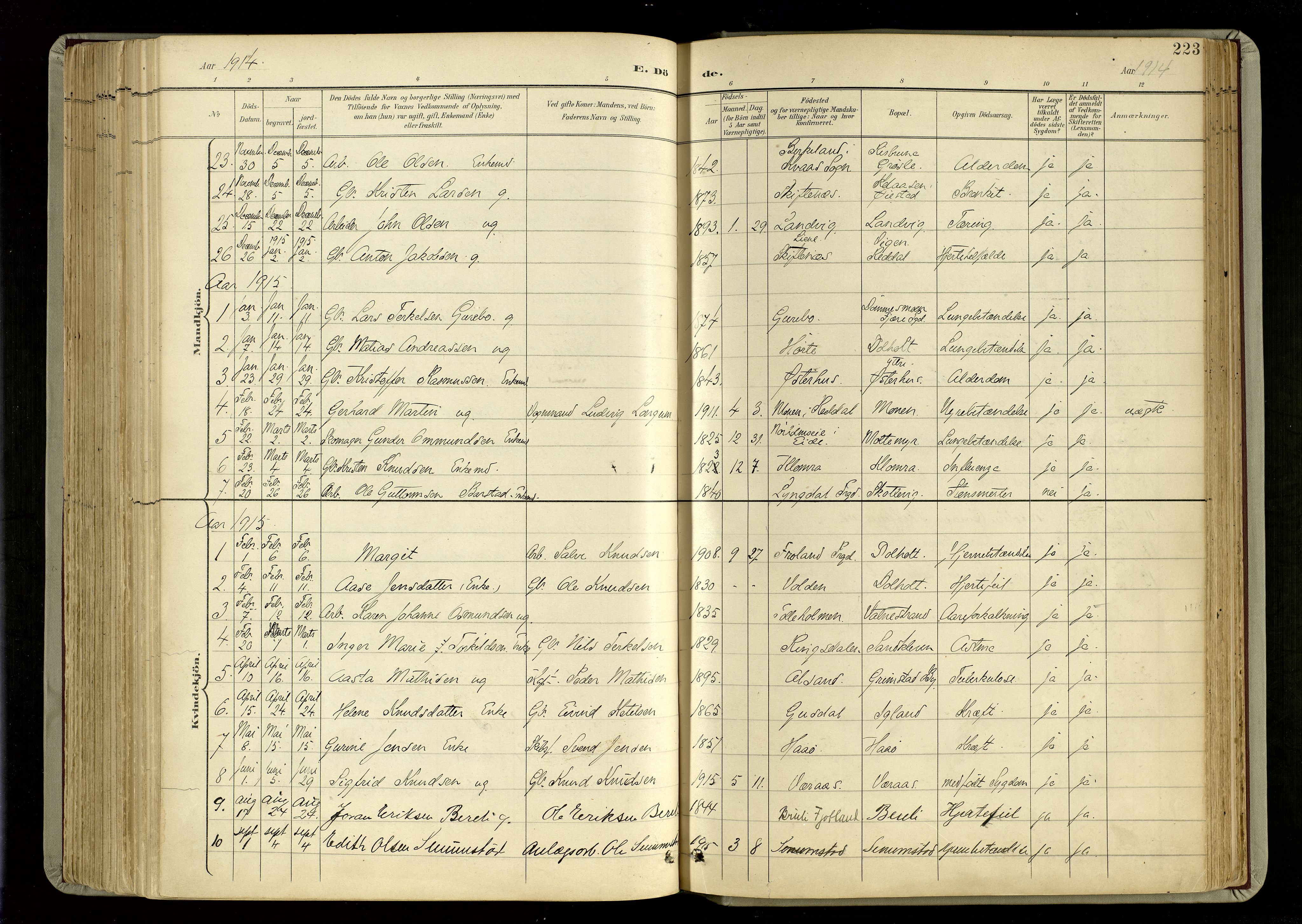 Hommedal sokneprestkontor, AV/SAK-1111-0023/F/Fa/Fab/L0007: Parish register (official) no. A 7, 1898-1924, p. 223