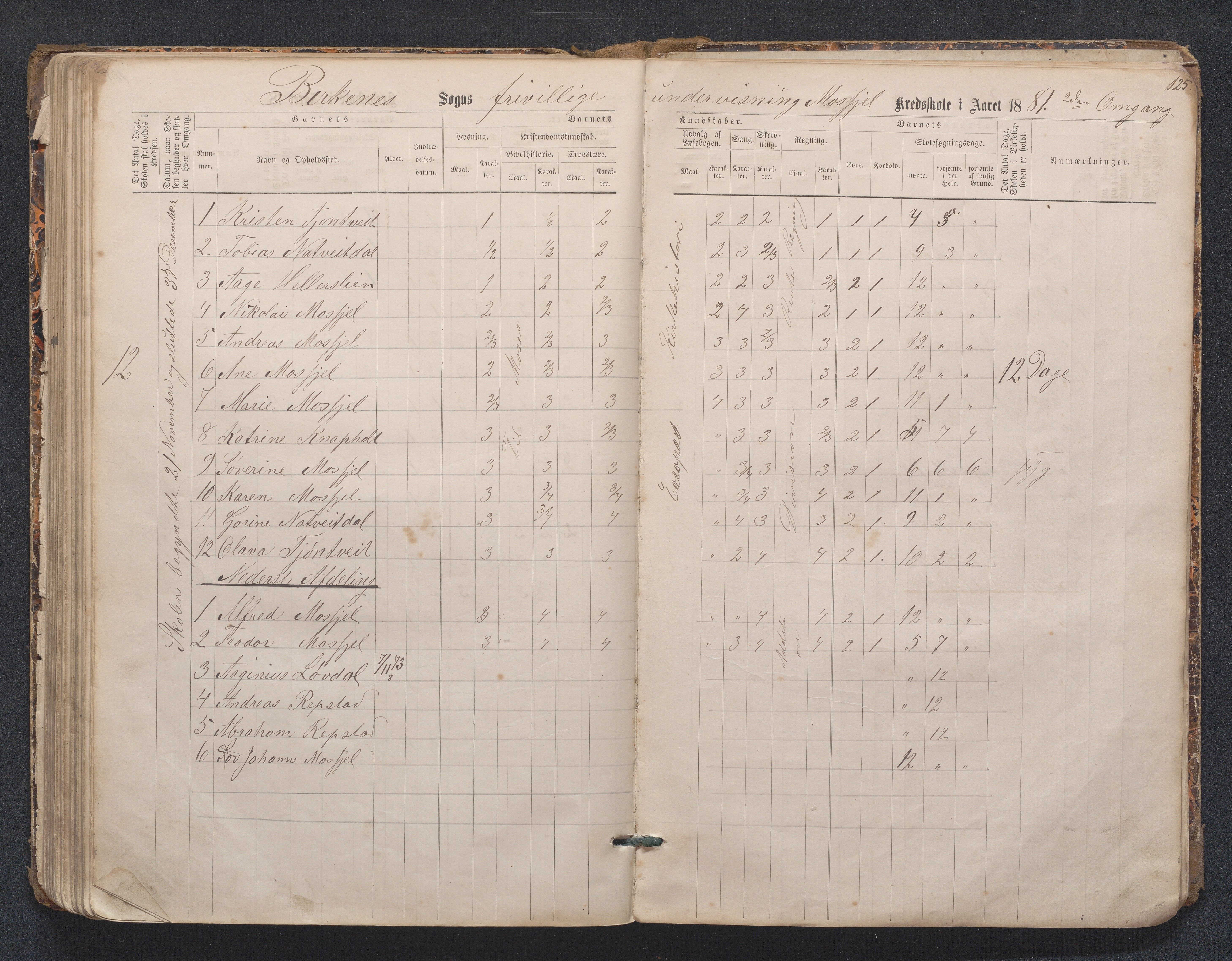 Birkenes kommune, Mosfjell skolekrets, AAKS/KA0928-550f_91/F02/L0001: Skoleprotokoll Flå og Mosfjell, 1867-1909, p. 125