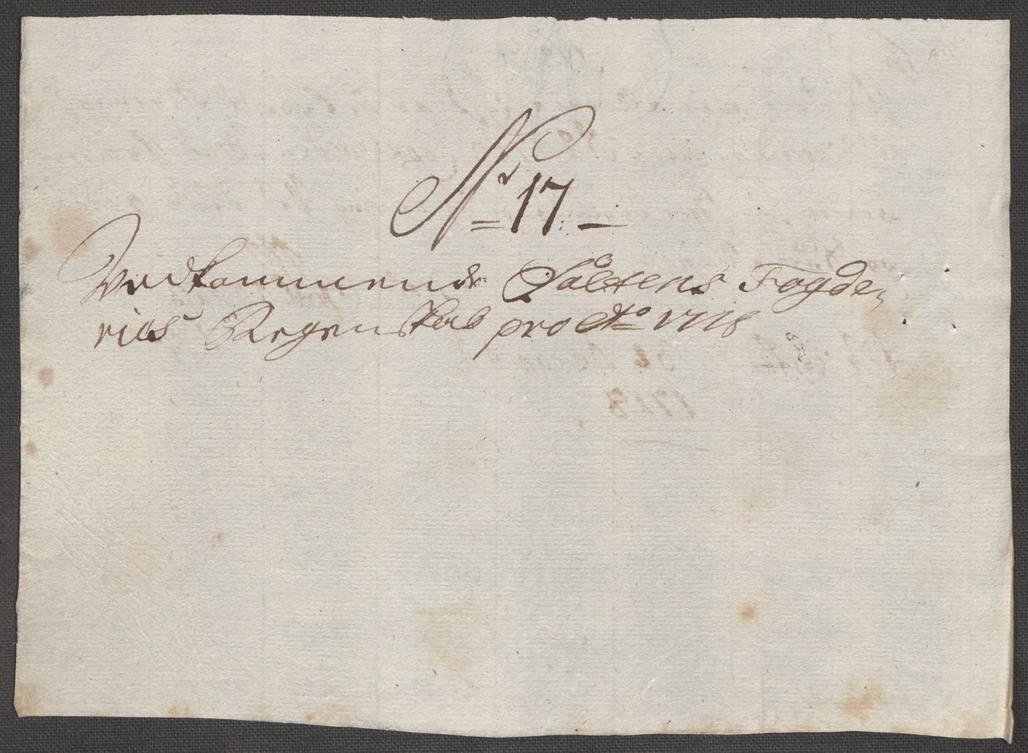 Rentekammeret inntil 1814, Reviderte regnskaper, Fogderegnskap, AV/RA-EA-4092/R66/L4588: Fogderegnskap Salten, 1718, p. 168