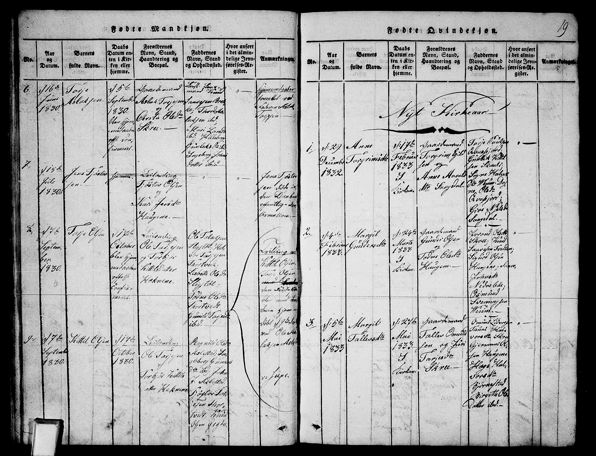 Fyresdal kirkebøker, SAKO/A-263/G/Ga/L0003: Parish register (copy) no. I 3, 1815-1863, p. 19
