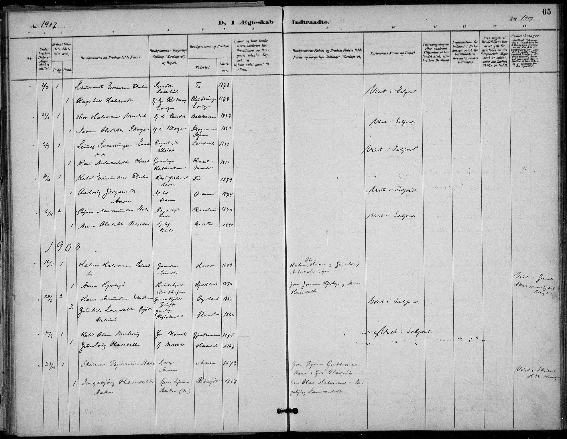 Seljord kirkebøker, SAKO/A-20/F/Fb/L0002: Parish register (official) no. II 2, 1887-1917, p. 65
