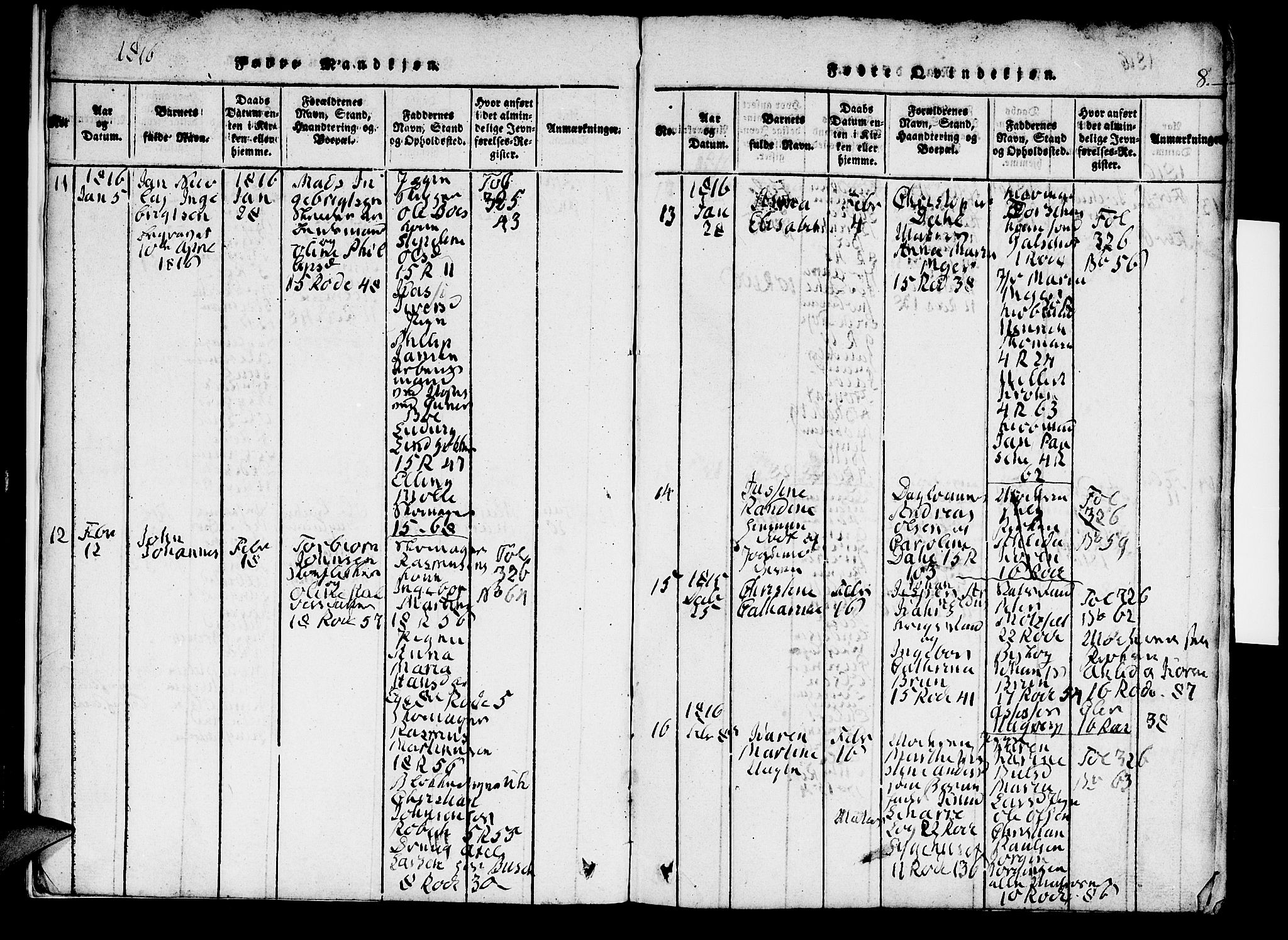 Domkirken sokneprestembete, AV/SAB-A-74801/H/Hab/L0001: Parish register (copy) no. A 1, 1816-1821, p. 8