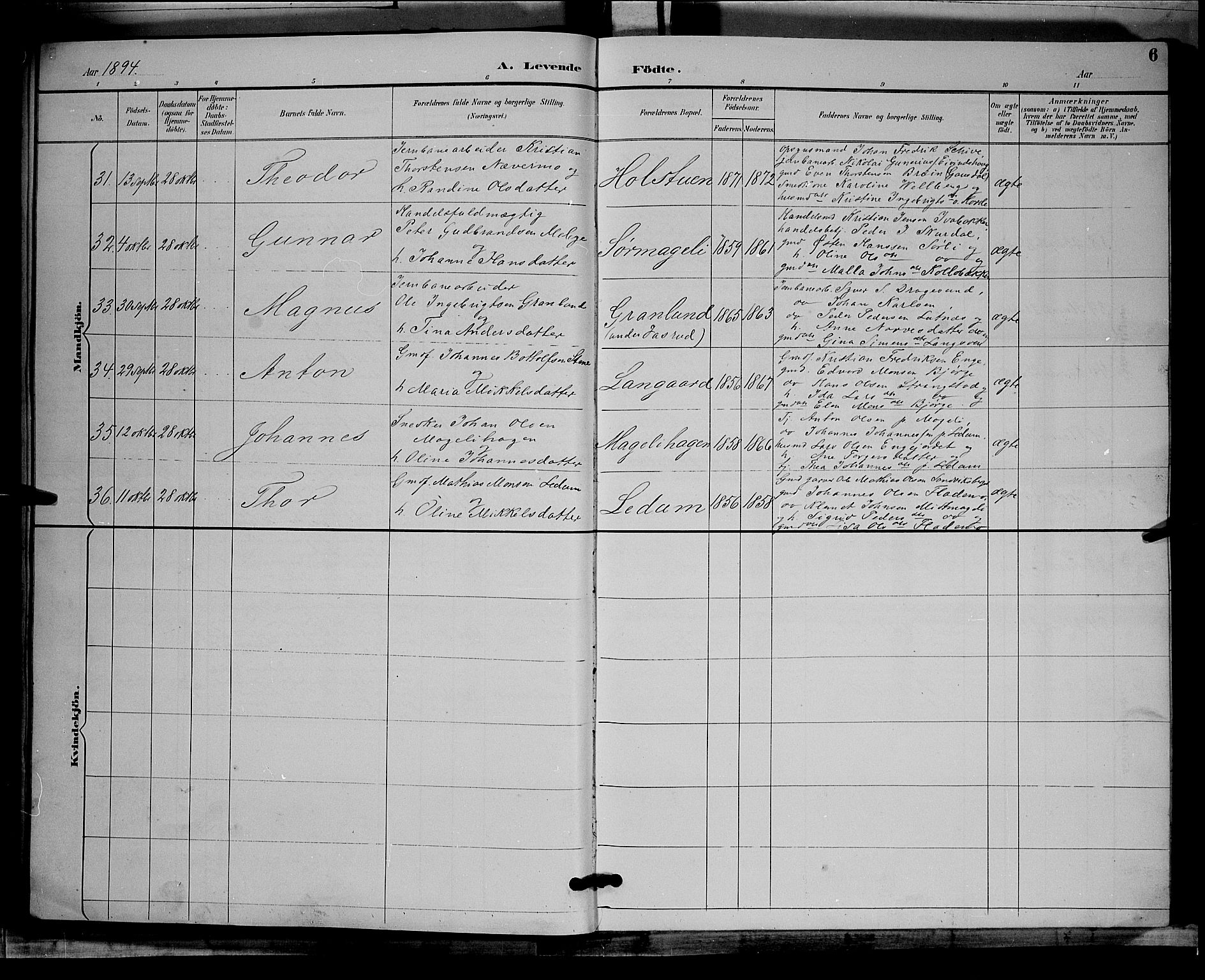 Øyer prestekontor, AV/SAH-PREST-084/H/Ha/Hab/L0004: Parish register (copy) no. 4, 1894-1905, p. 6