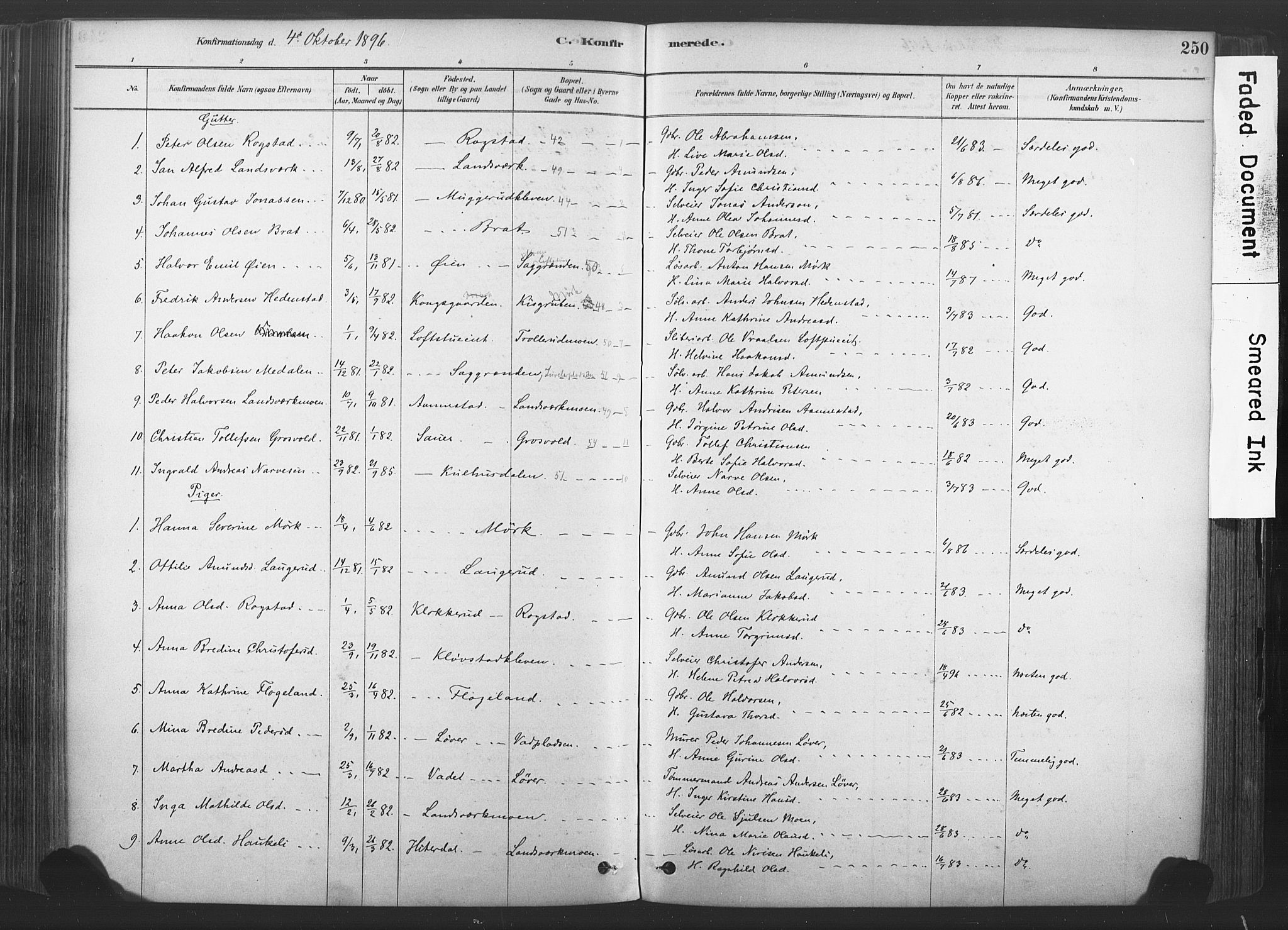 Sandsvær kirkebøker, SAKO/A-244/F/Fd/L0001: Parish register (official) no. IV 1, 1878-1906, p. 250