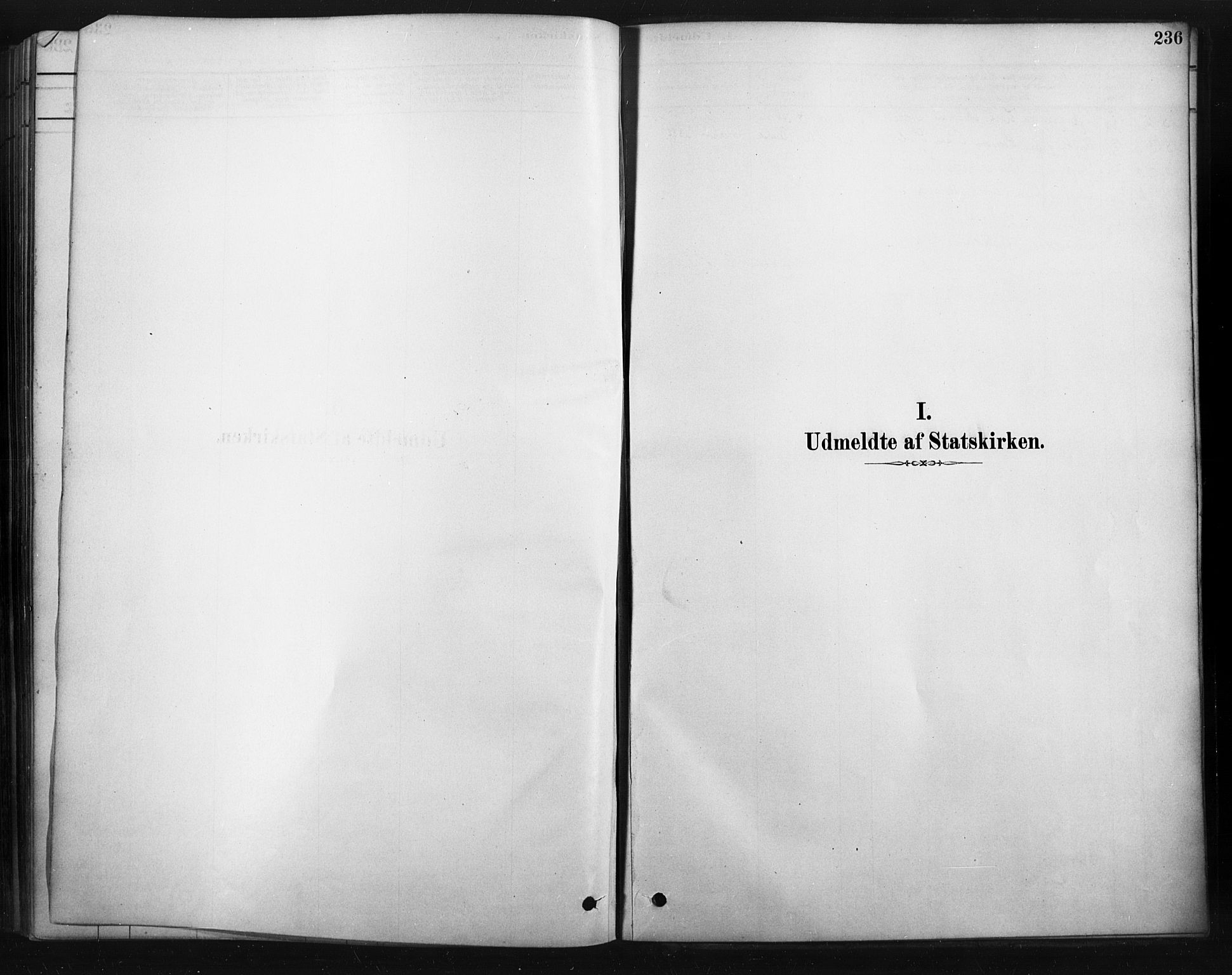 Rendalen prestekontor, SAH/PREST-054/H/Ha/Haa/L0010: Parish register (official) no. 10, 1878-1901, p. 236