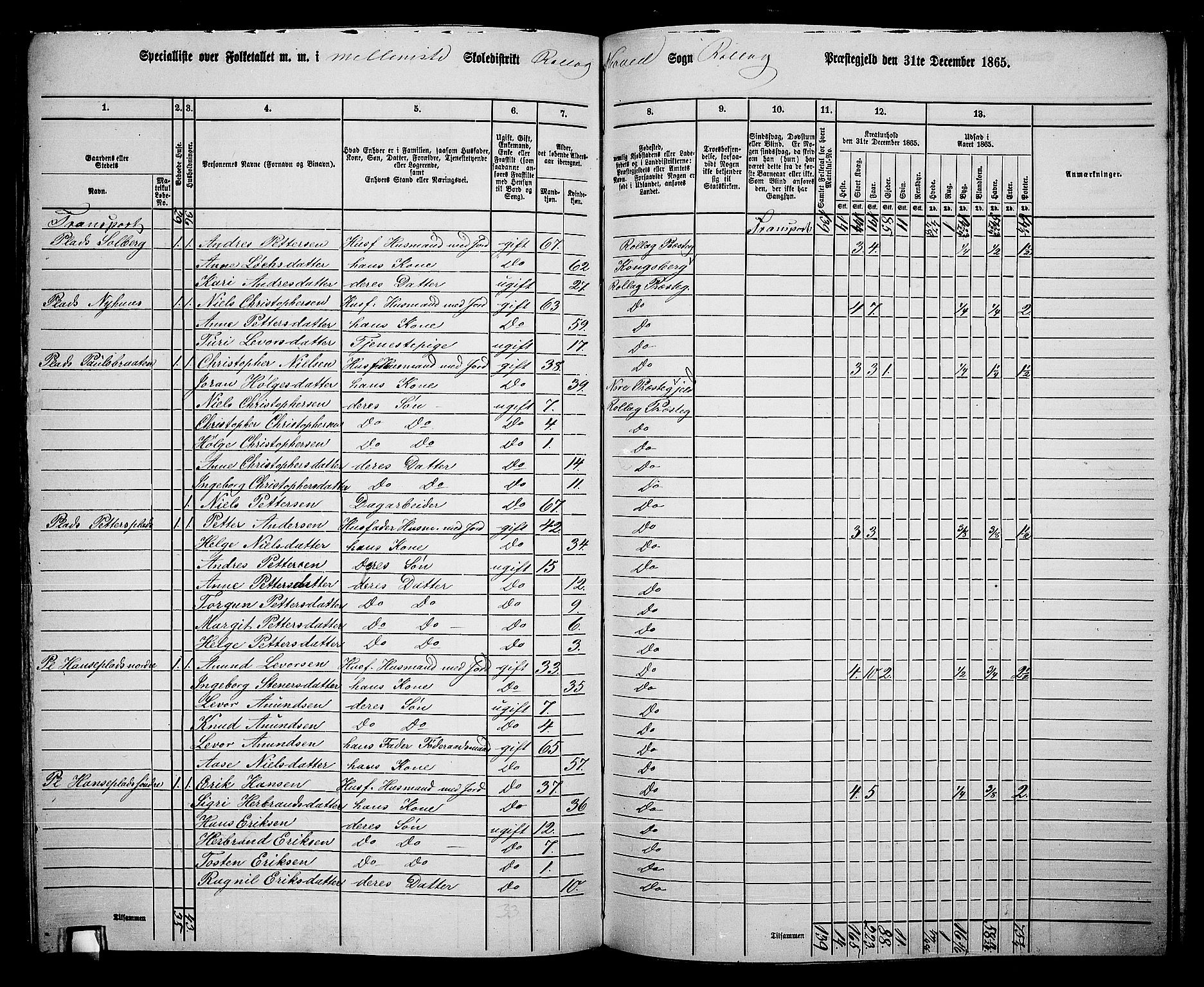 RA, 1865 census for Rollag, 1865, p. 32