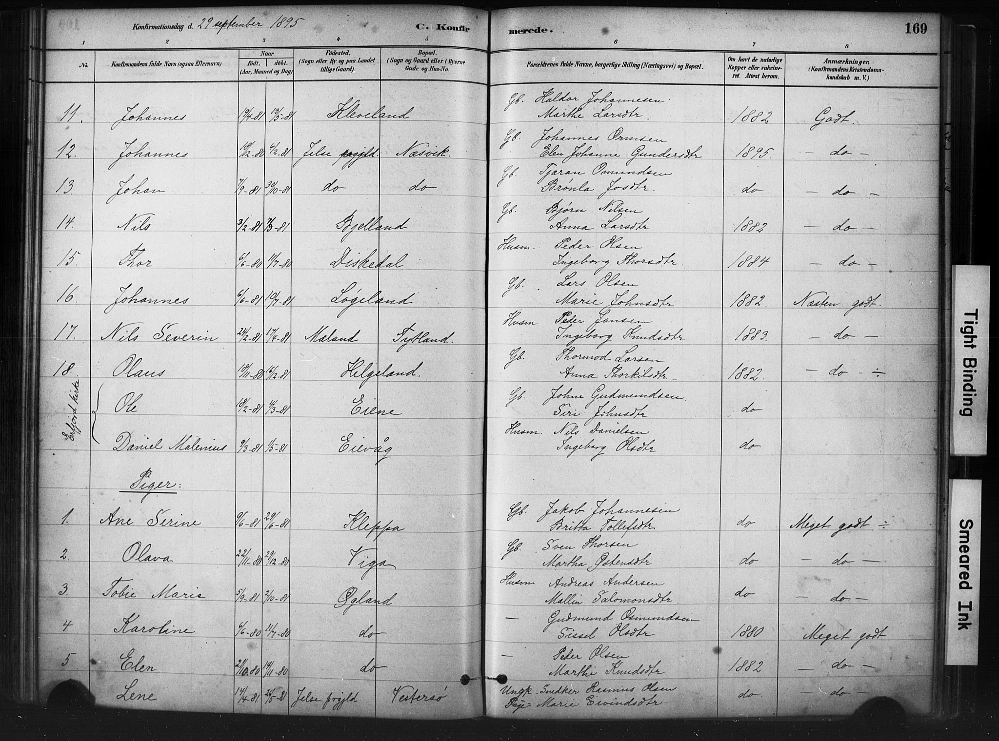 Hjelmeland sokneprestkontor, AV/SAST-A-101843/01/IV/L0014: Parish register (official) no. A 14, 1879-1900, p. 169