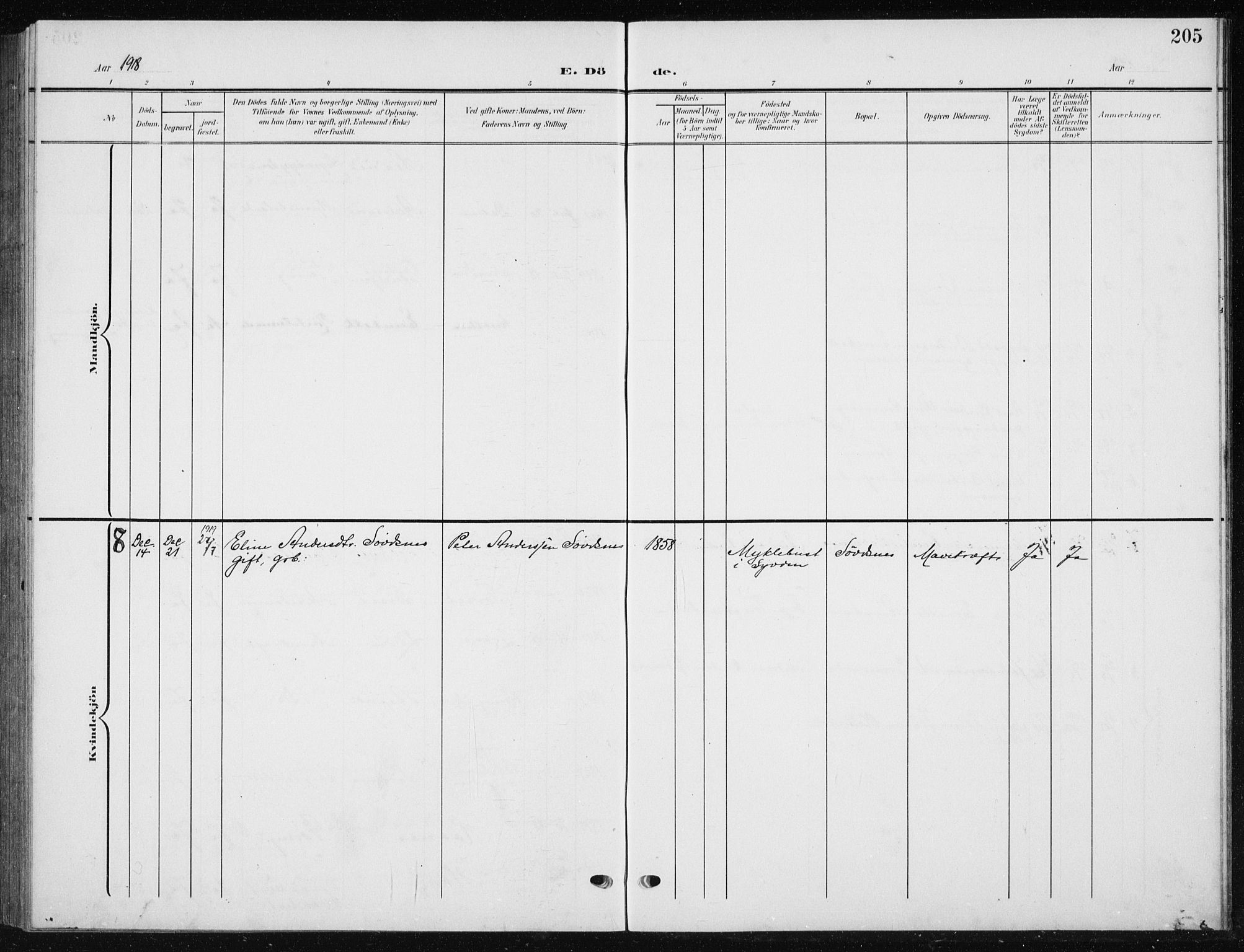 Ministerialprotokoller, klokkerbøker og fødselsregistre - Møre og Romsdal, AV/SAT-A-1454/504/L0061: Parish register (copy) no. 504C03, 1902-1940, p. 205