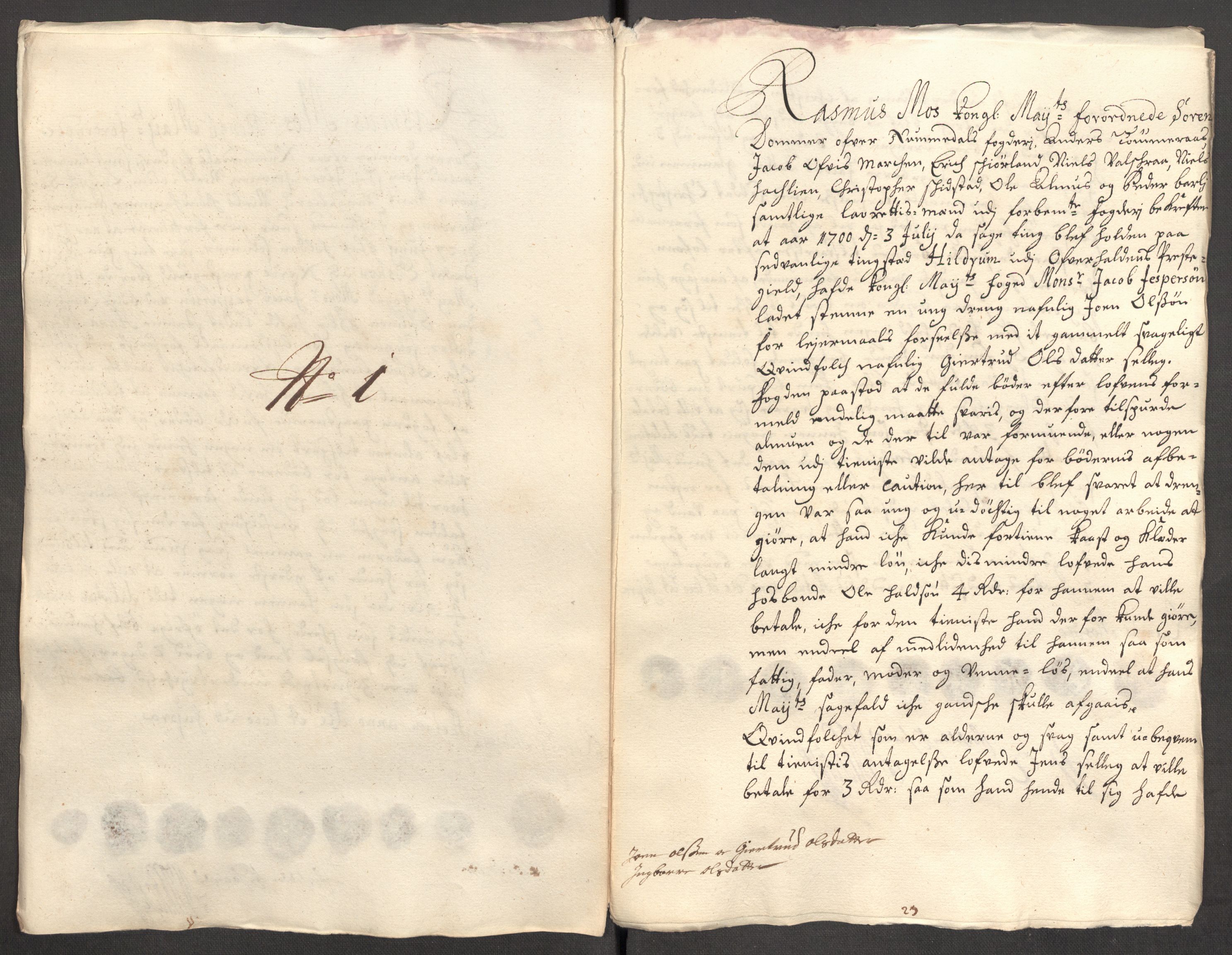 Rentekammeret inntil 1814, Reviderte regnskaper, Fogderegnskap, AV/RA-EA-4092/R64/L4426: Fogderegnskap Namdal, 1699-1700, p. 281