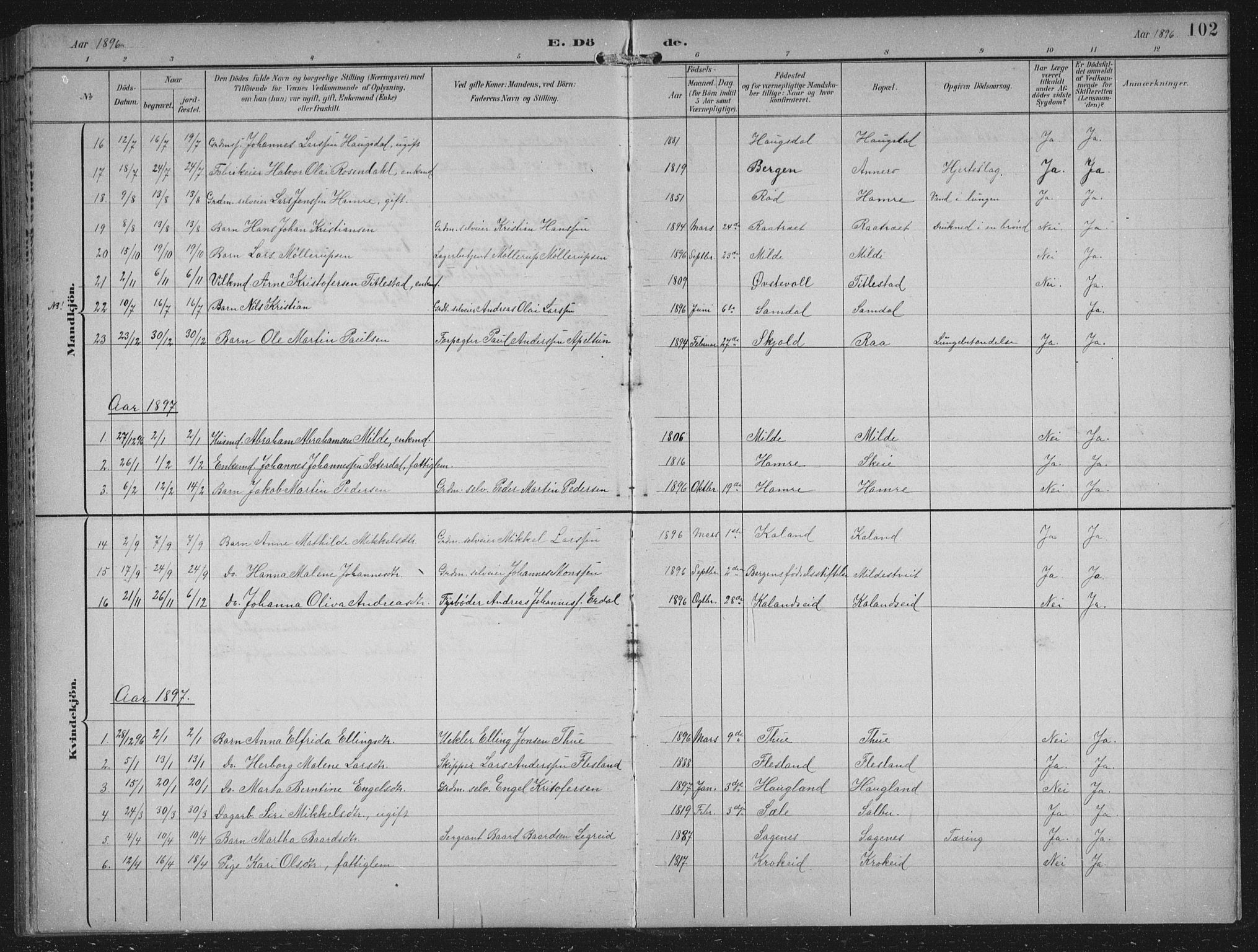 Fana Sokneprestembete, AV/SAB-A-75101/H/Hab/Haba/L0003: Parish register (copy) no. A 3, 1895-1902, p. 102