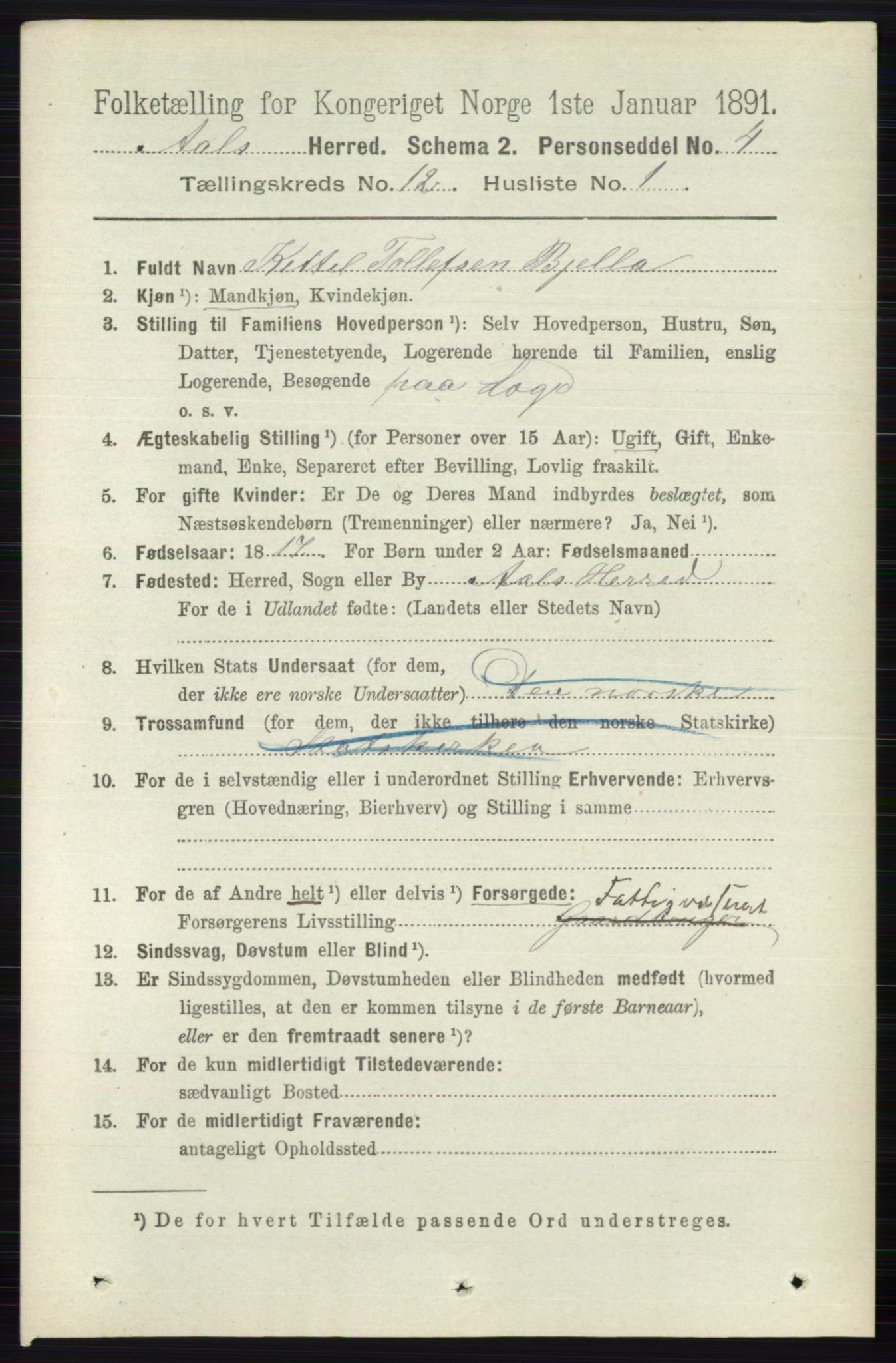 RA, 1891 census for 0619 Ål, 1891, p. 3010