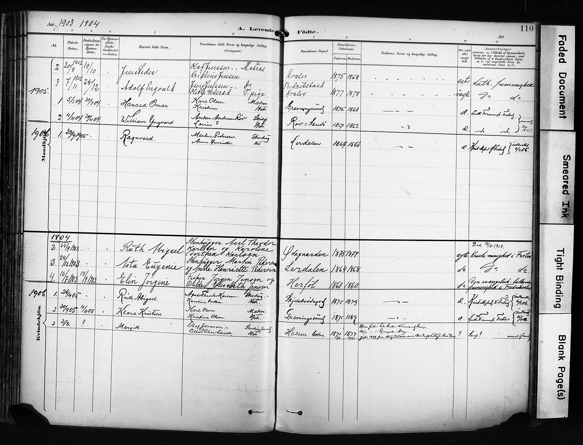 Hvaler prestekontor Kirkebøker, SAO/A-2001/F/Fa/L0009: Parish register (official) no. I 9, 1895-1906, p. 110