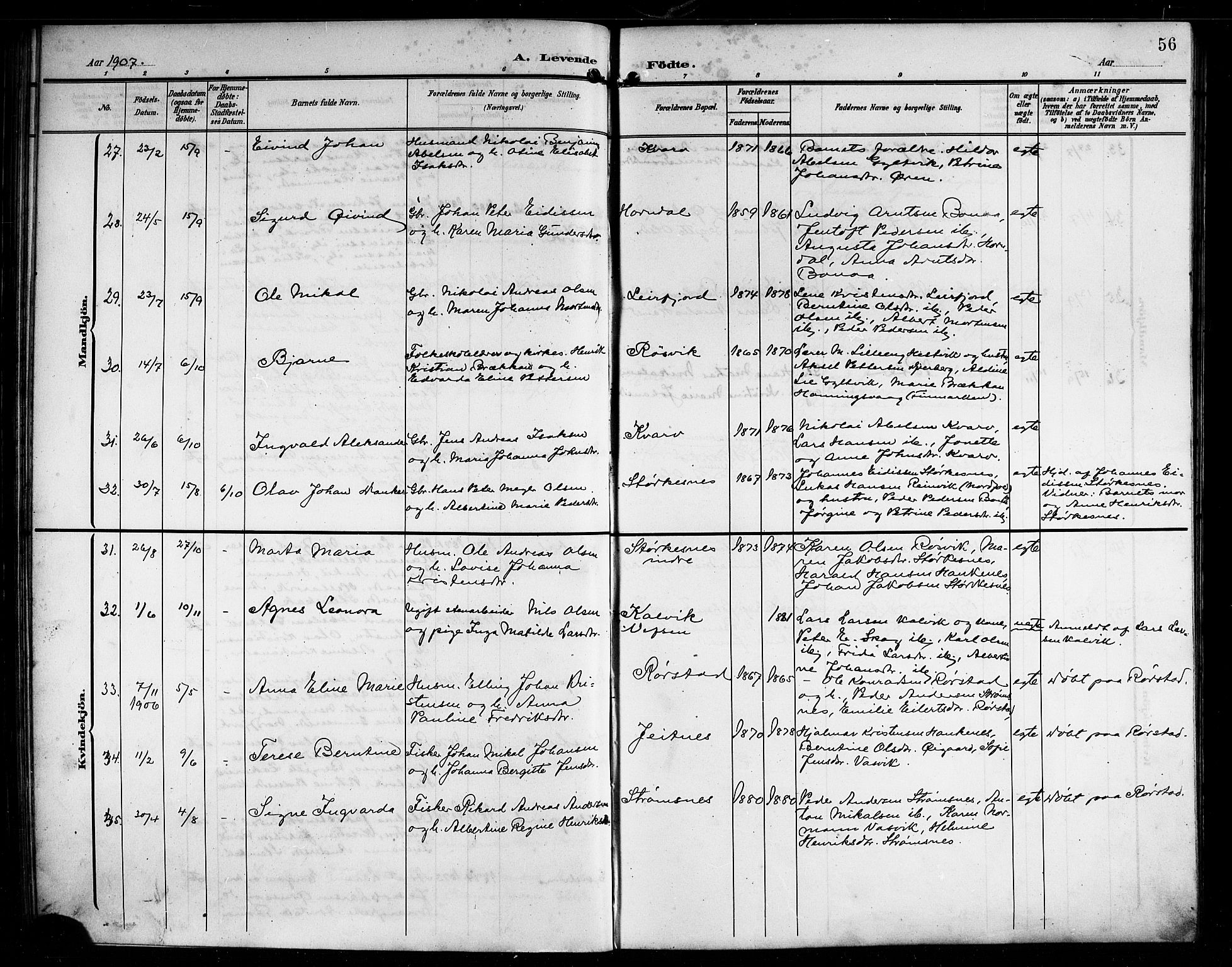 Ministerialprotokoller, klokkerbøker og fødselsregistre - Nordland, AV/SAT-A-1459/854/L0786: Parish register (copy) no. 854C02, 1901-1912, p. 56