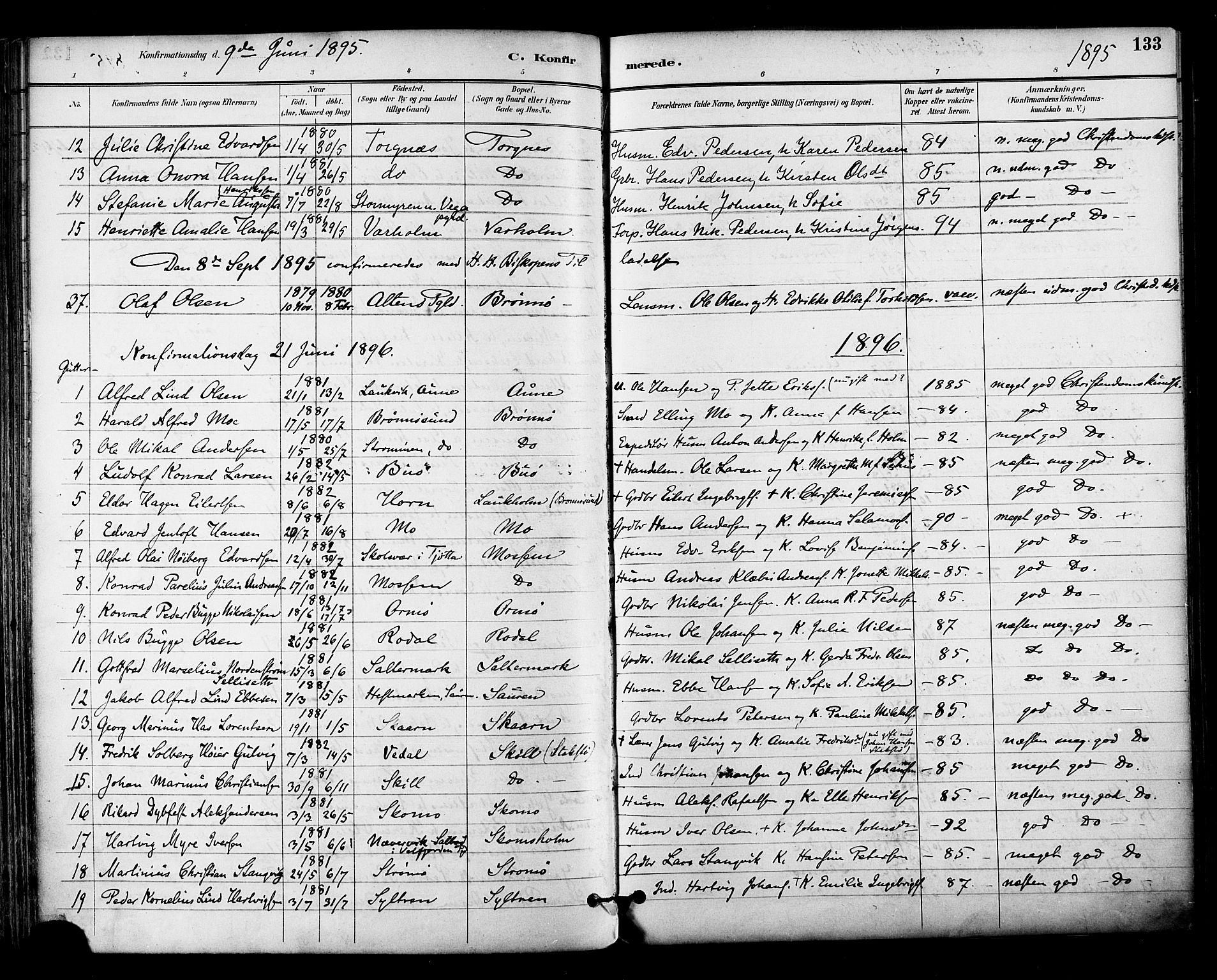 Ministerialprotokoller, klokkerbøker og fødselsregistre - Nordland, SAT/A-1459/813/L0200: Parish register (official) no. 813A10, 1886-1900, p. 133