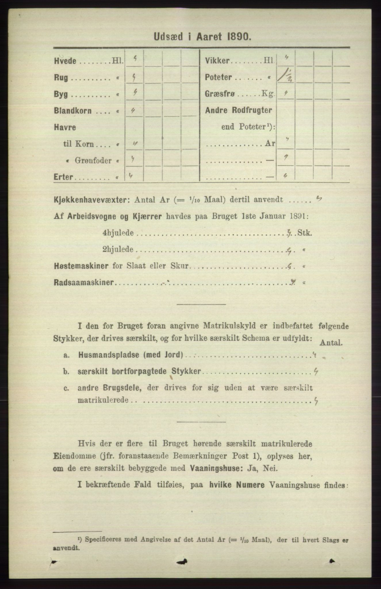 RA, 1891 census for 1251 Bruvik, 1891, p. 4621